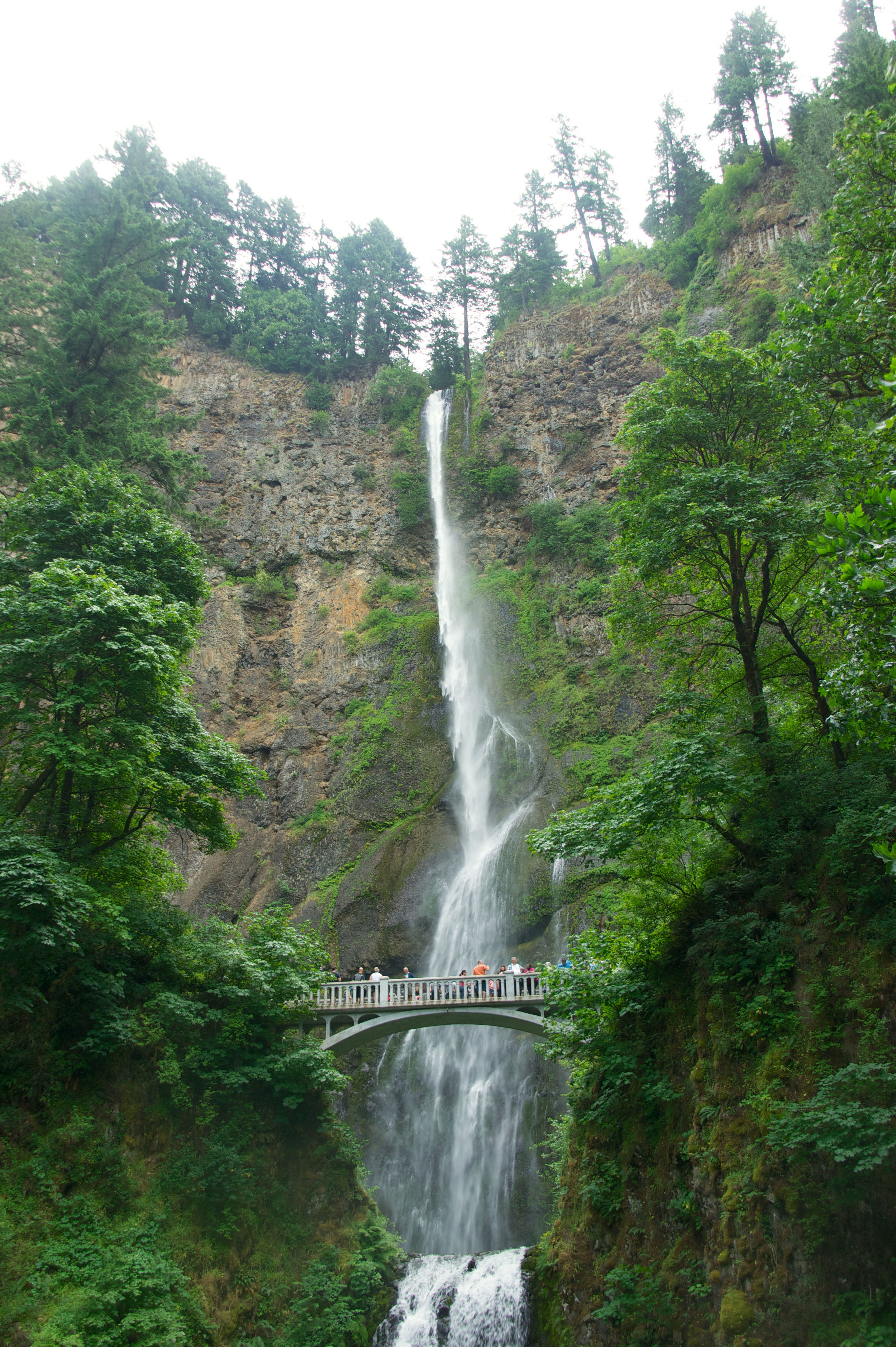 The actual Multnomah Falls