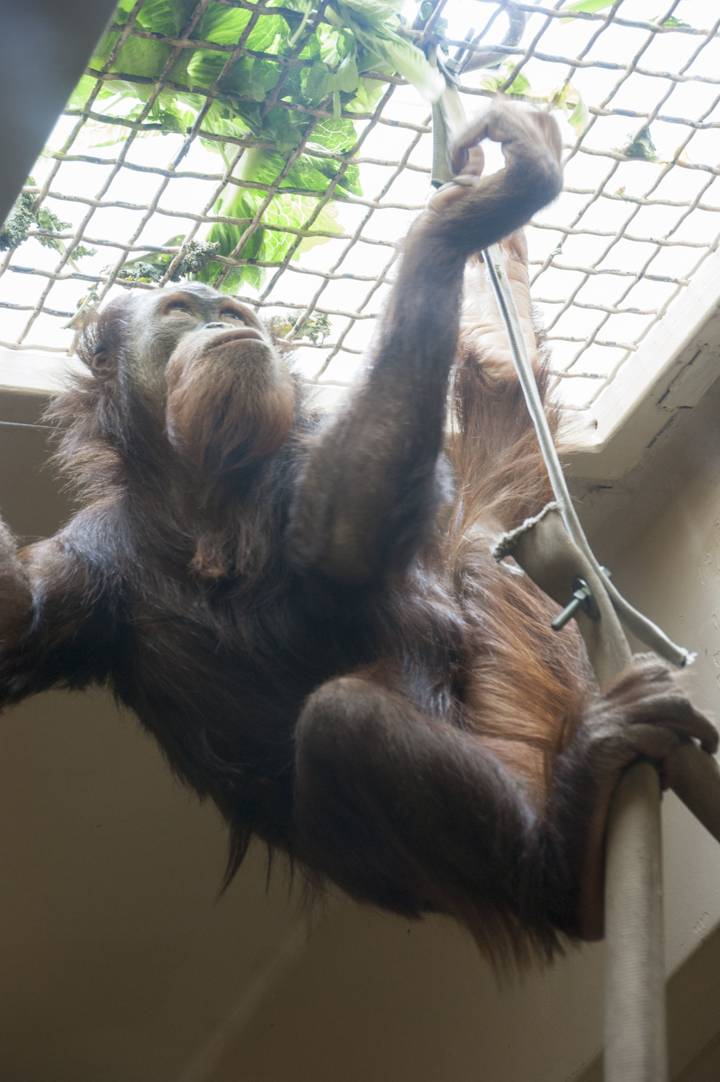 Cheyenne Mountain Zoo