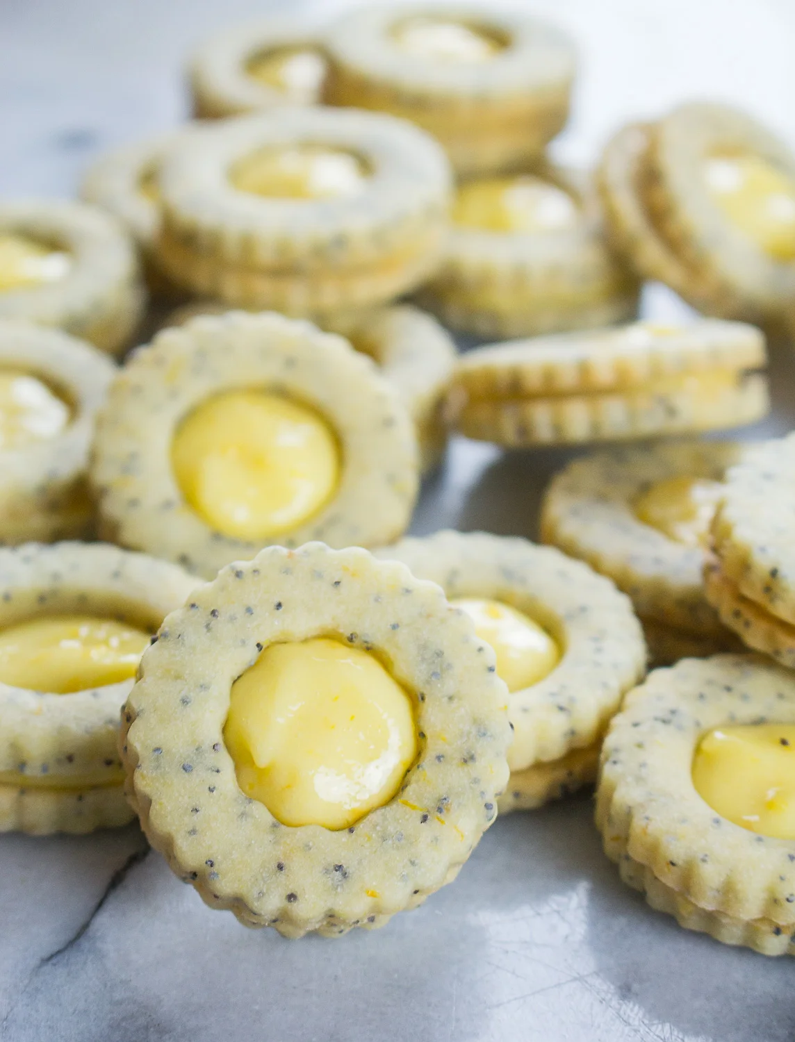 lemon-poppyseed-linzer-cookies-12.jpg