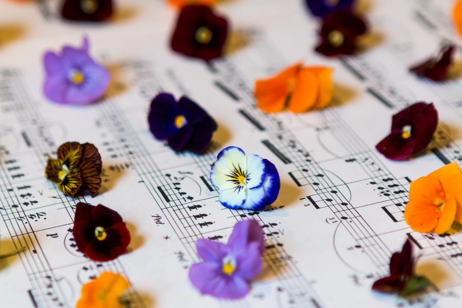 lemon-shortbread-edible-flowers-1.jpg