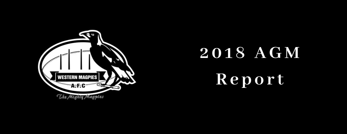 2018 AGM Report - Sherwood Districts Australian Football Club