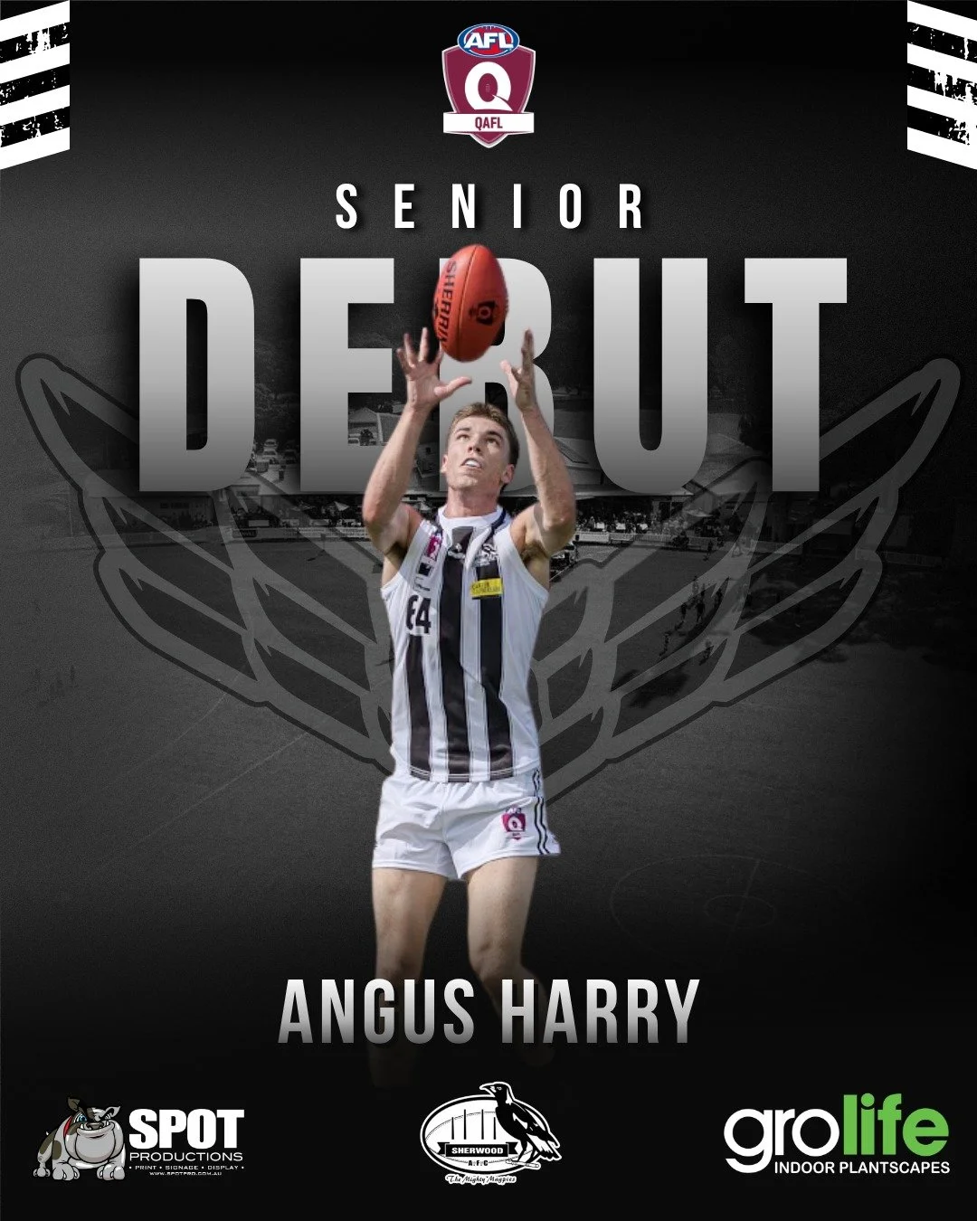 QAFL SENIOR DEBUT - ANGUS HARRY ✅

This week we welcome Angus Harry to QAFL Senior football when we take on Palm Beach for Sir Doug Nicholls Round.

Angus joins us from Maroochydore where he rose through youth football playing u12, u14 and u17 Divisi