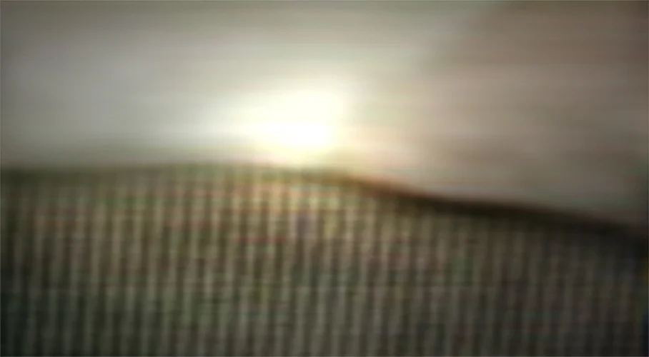 Orchard