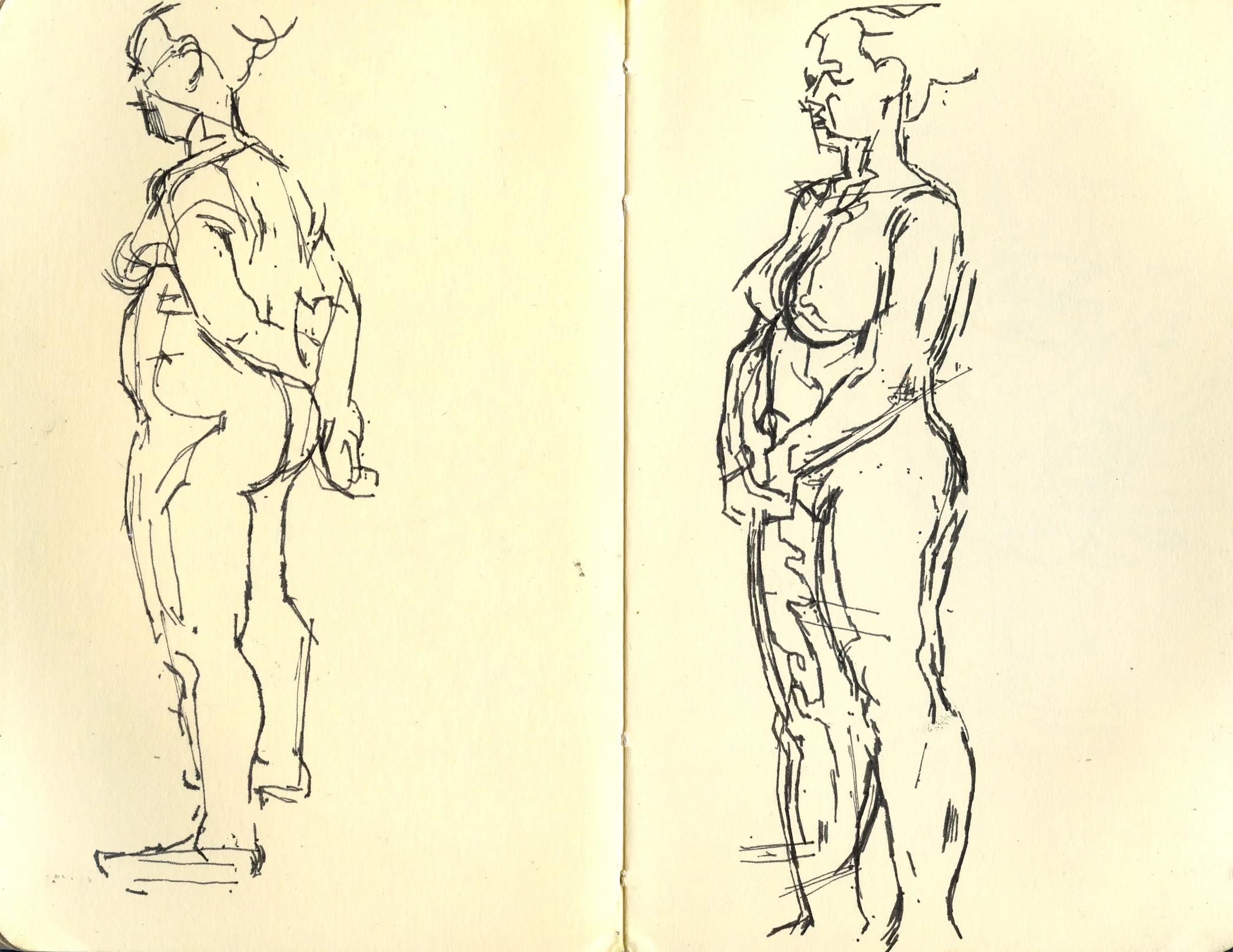 page_8_ivanco_11.jpg
