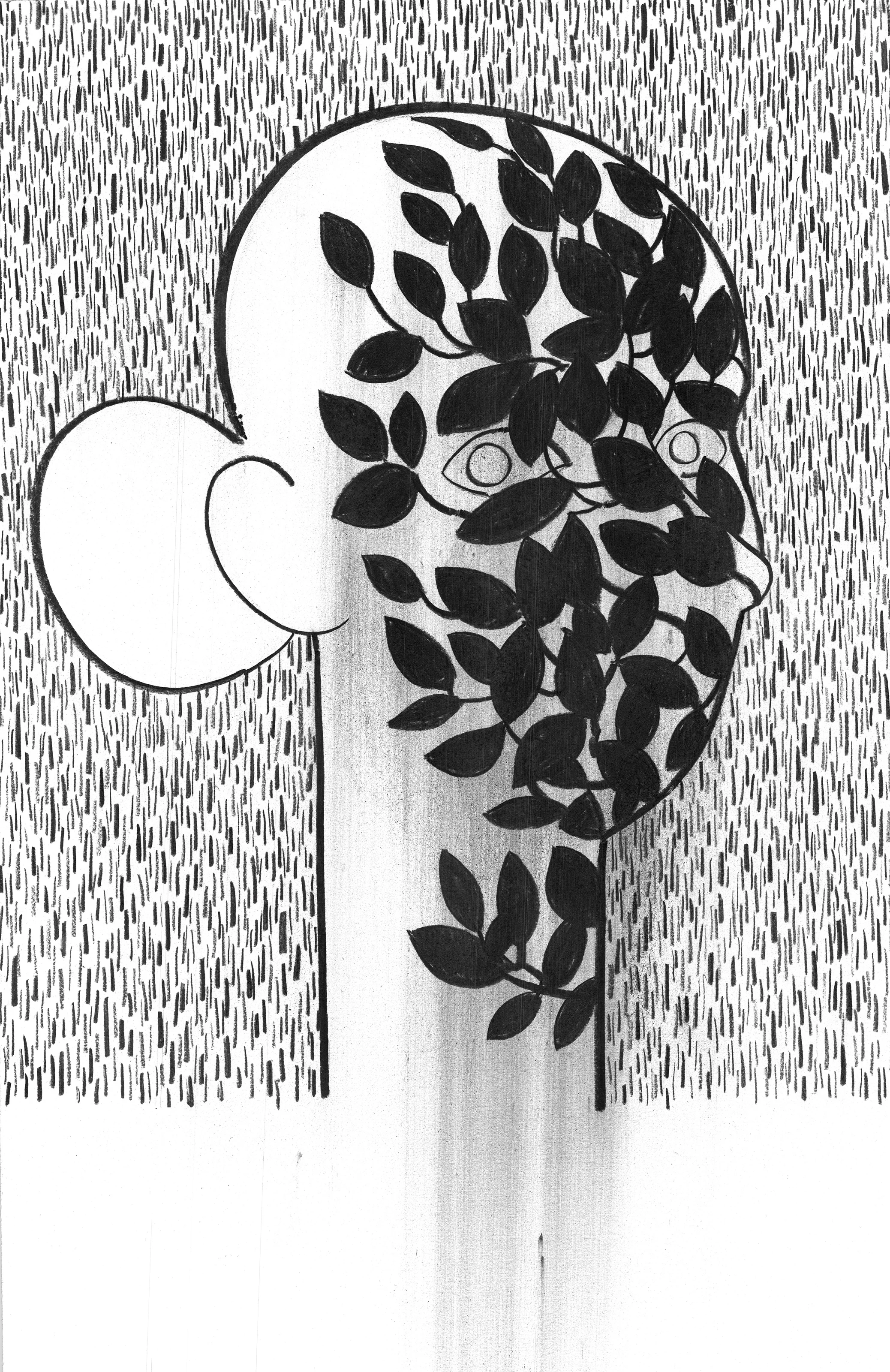 woman_head_tree_shadow.jpg