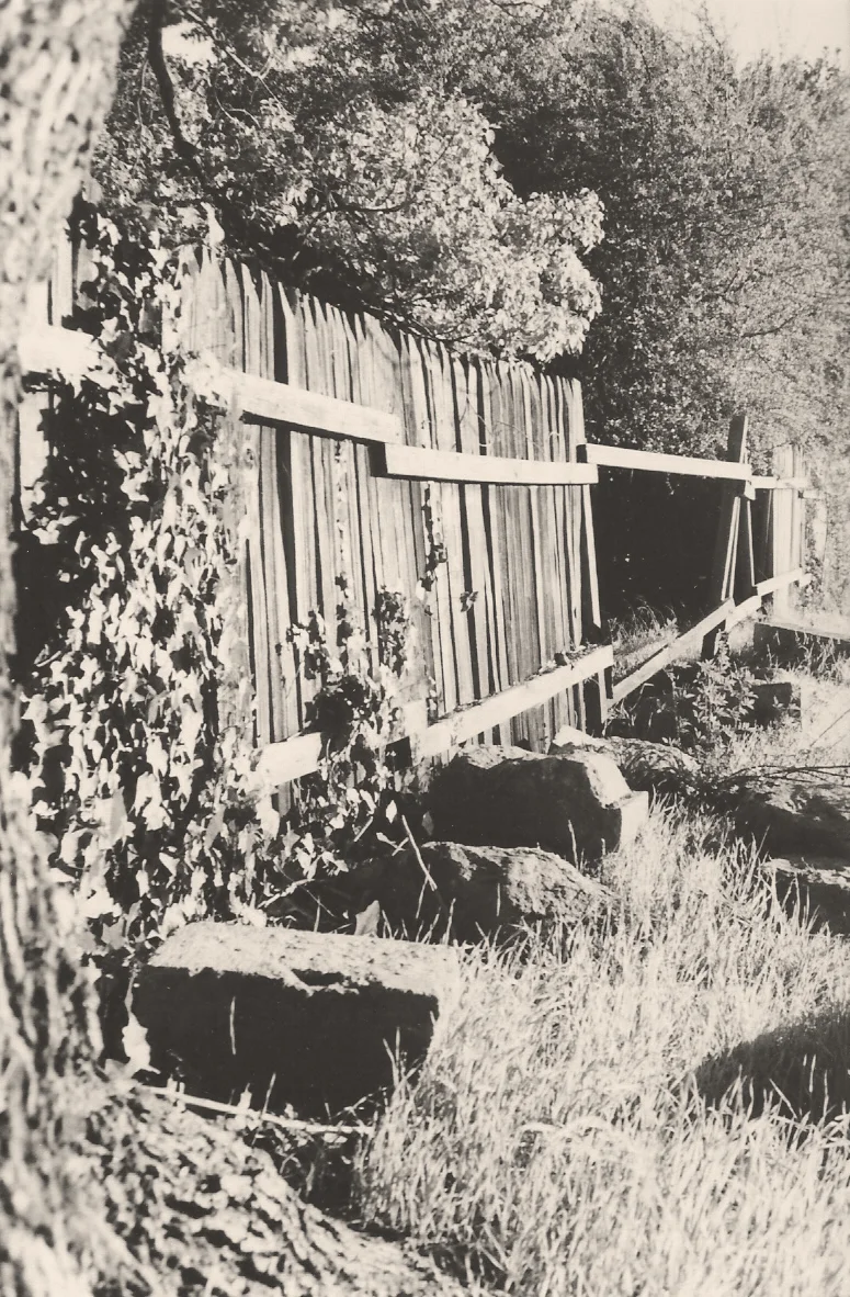 fence copy.jpg