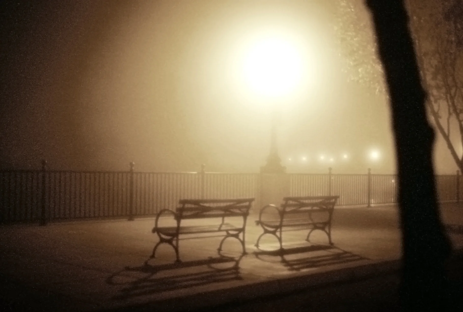 Foggy park benches.jpg
