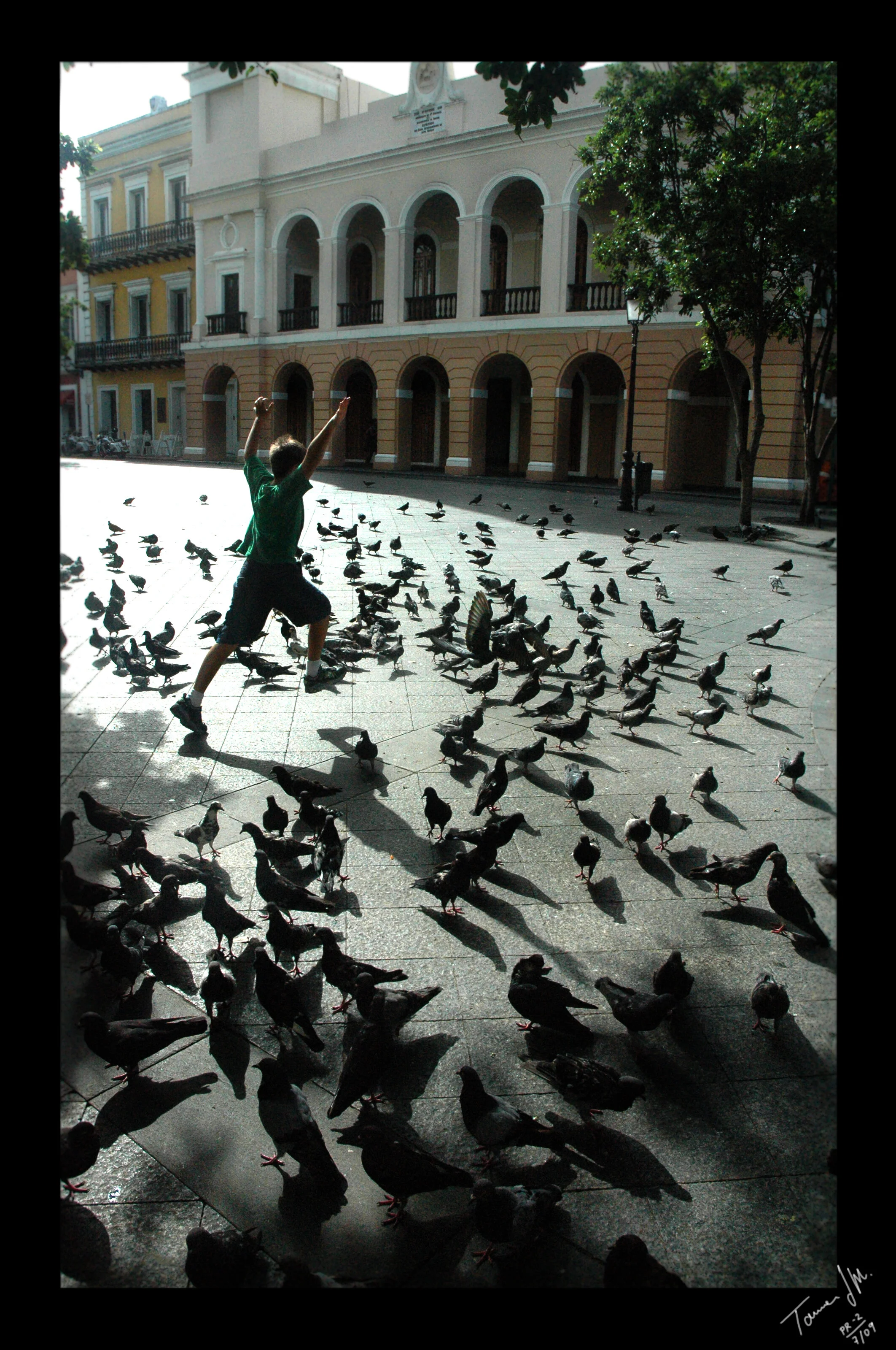 Birds1.jpg