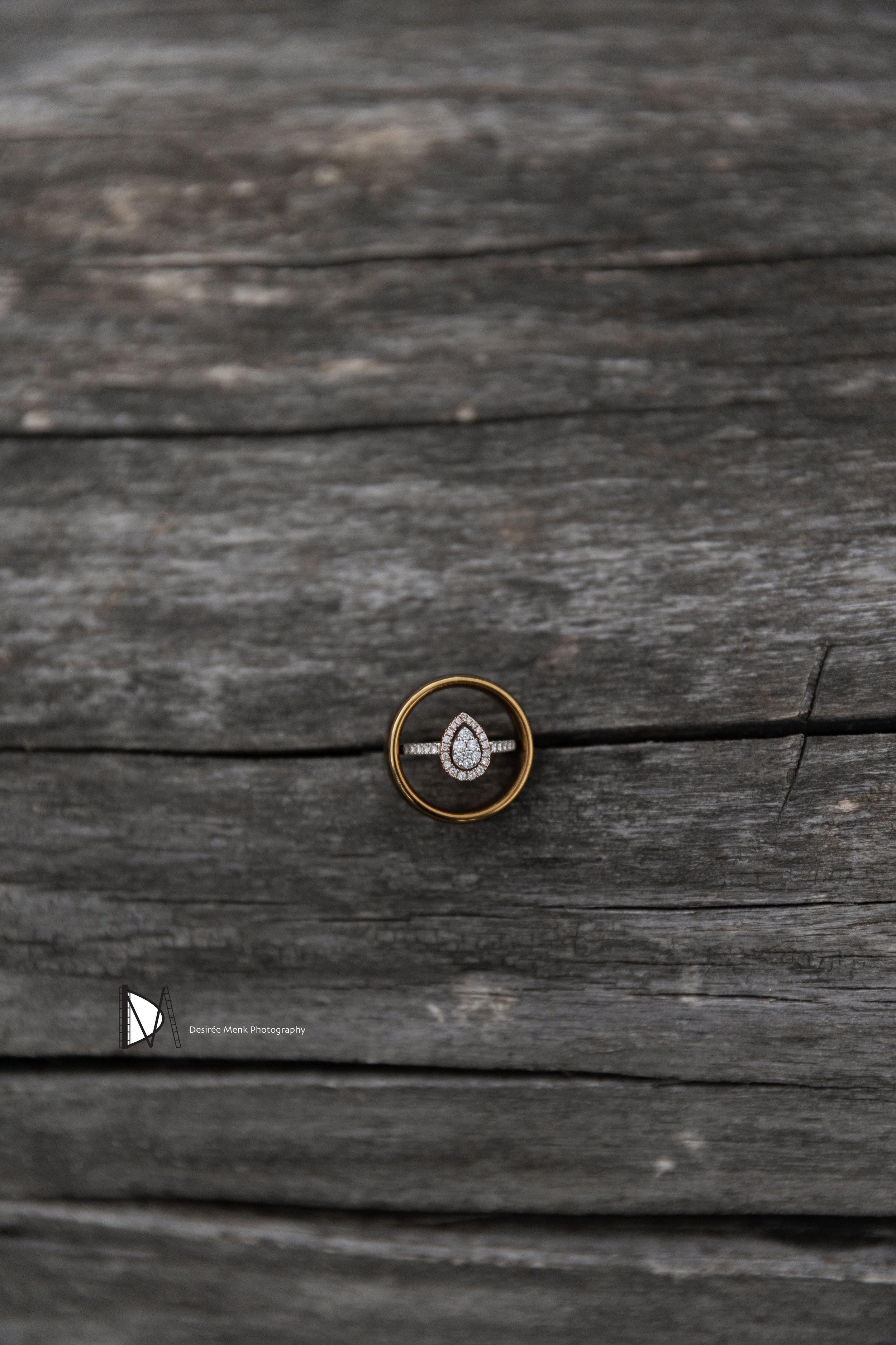 1O6A7937L.jpg