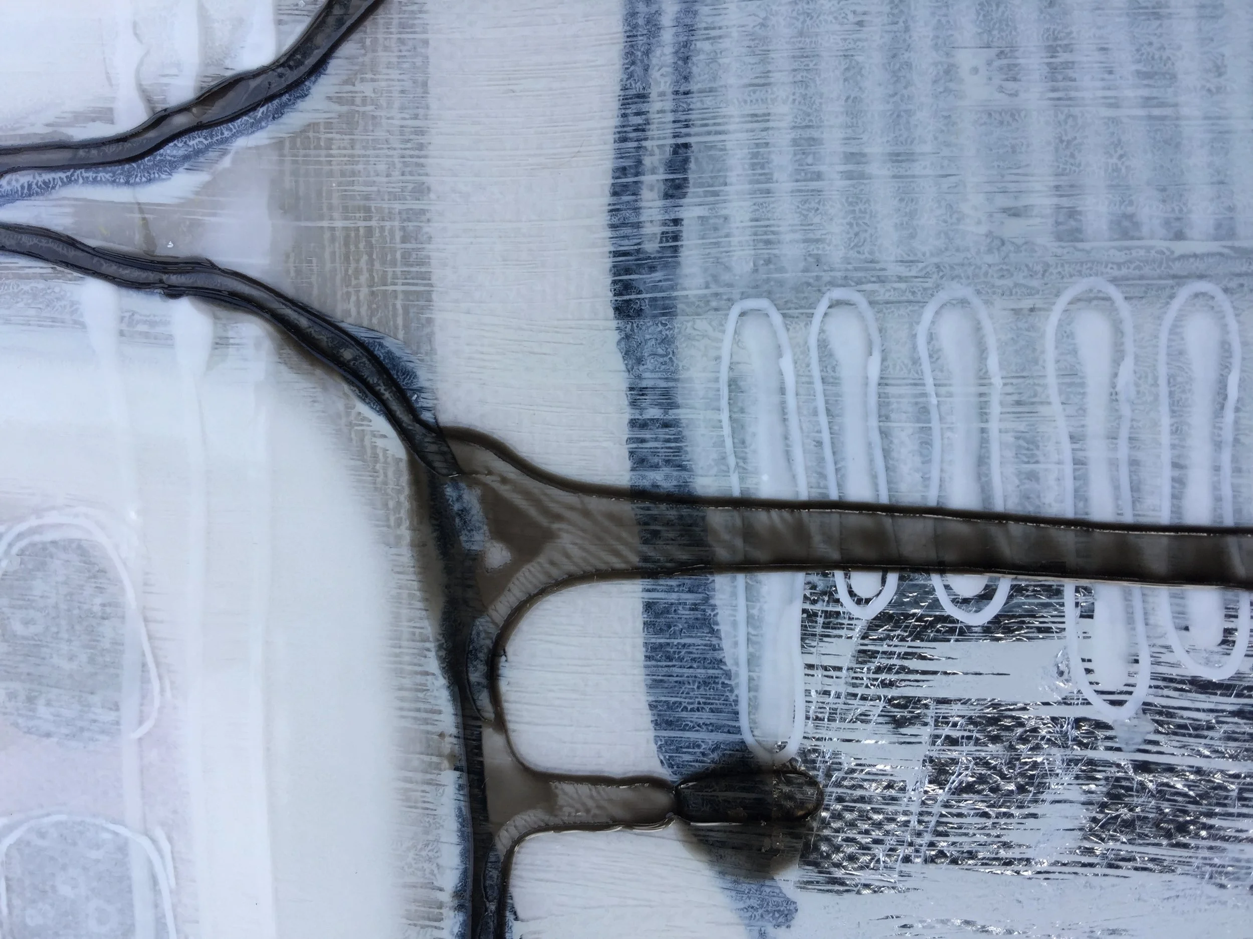 File 7-08-17, 10 52 48 AM.jpeg