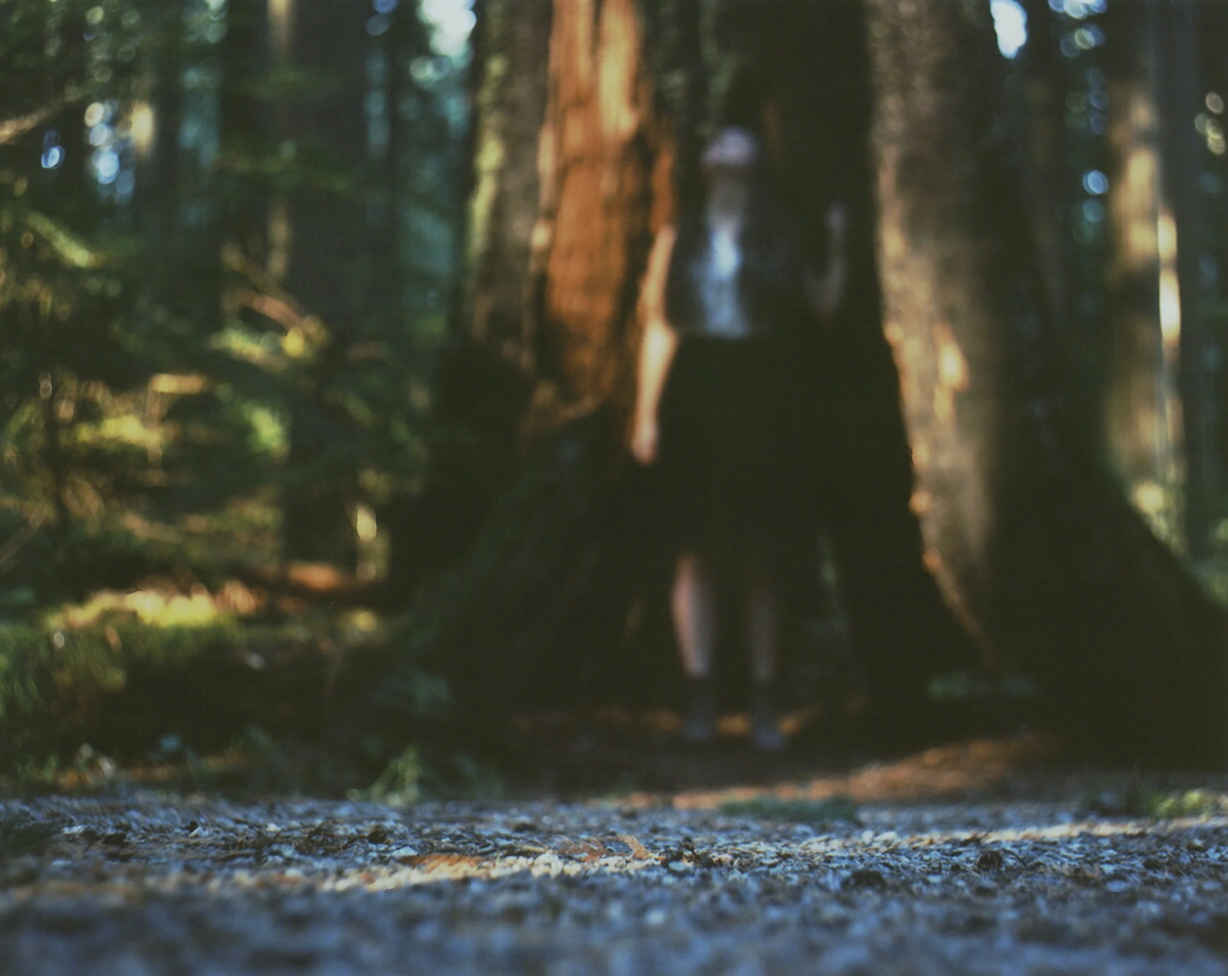 FracturedNarratives3-1.jpg