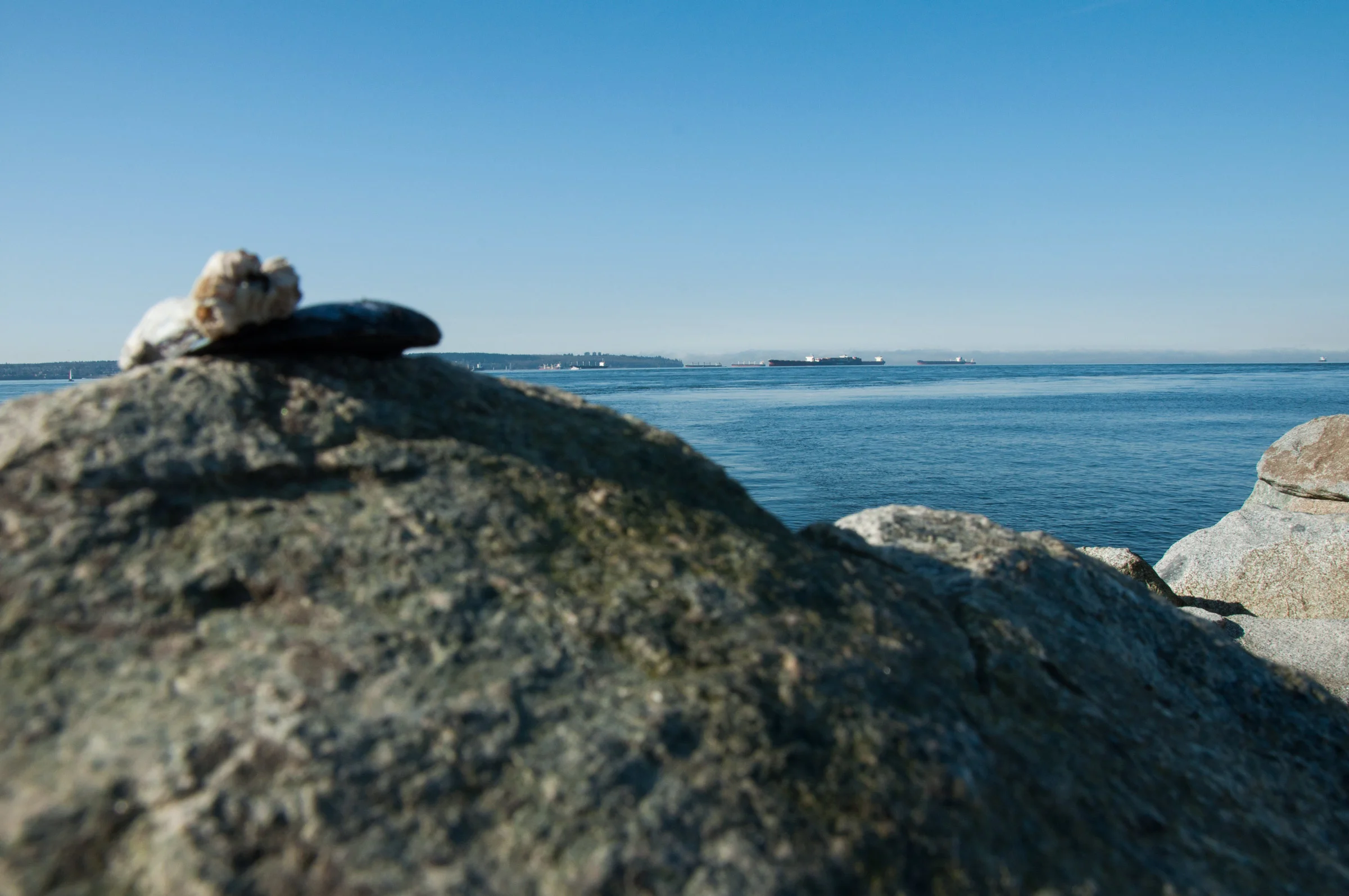 Shoreline.jpg