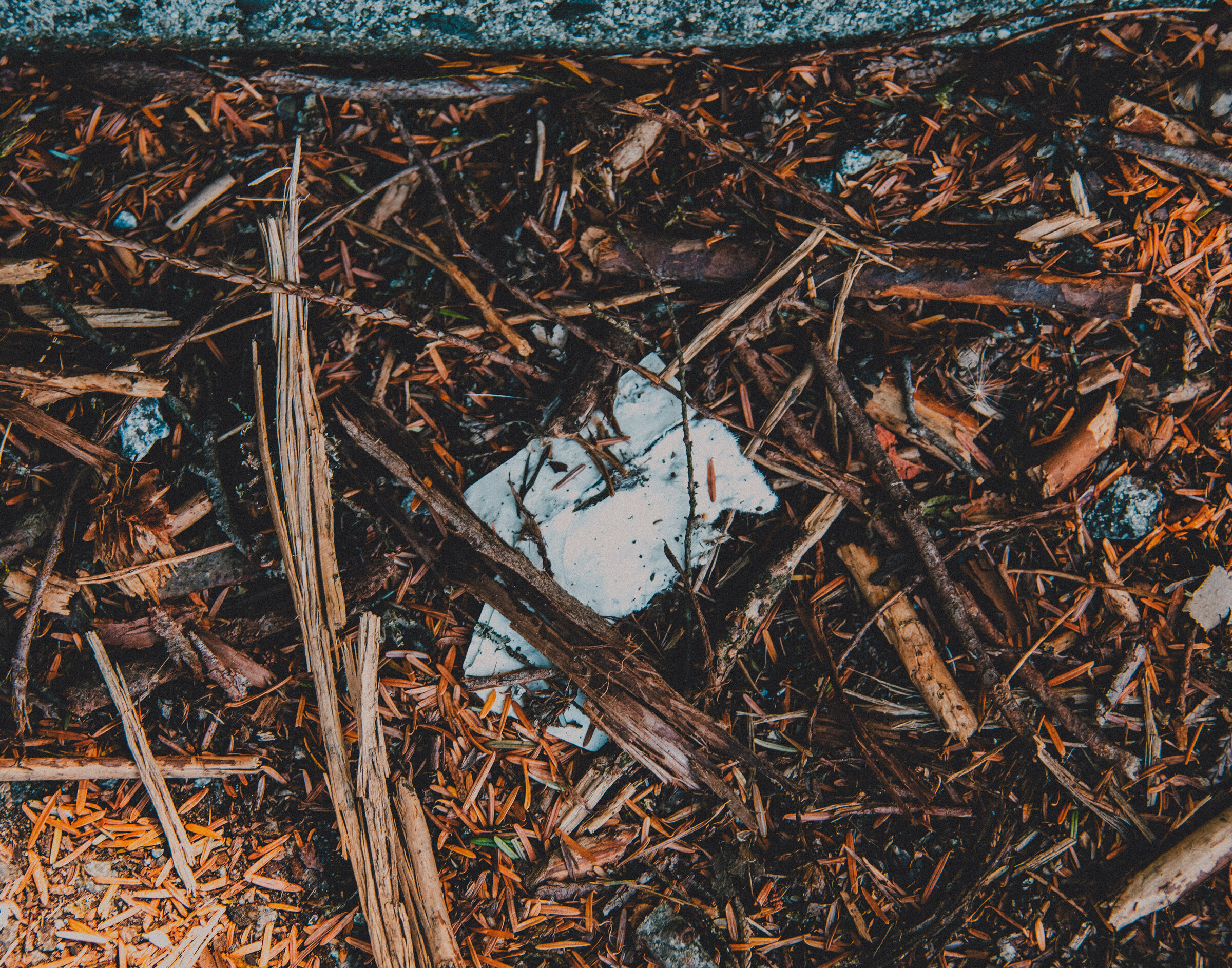 Environment-13.jpg