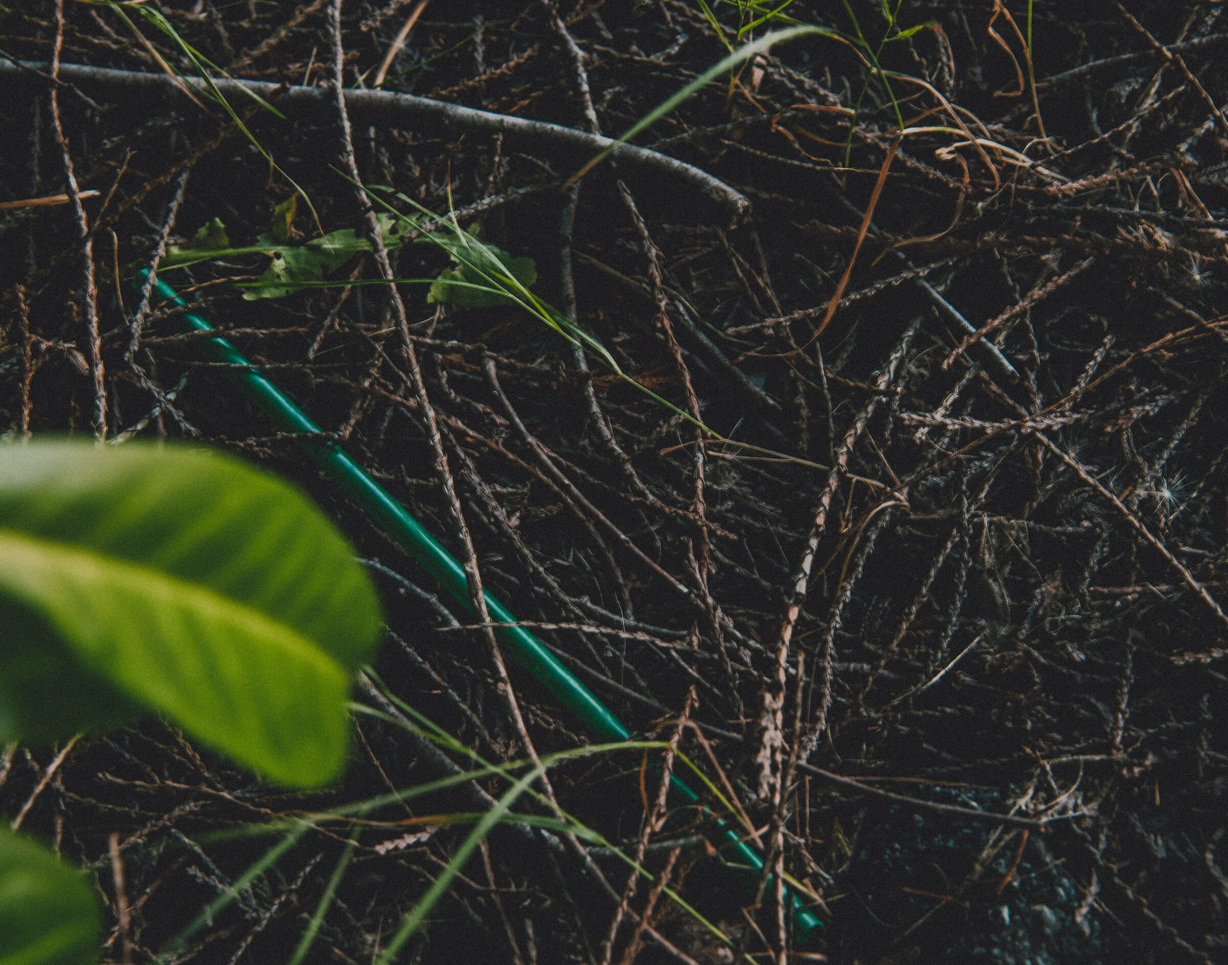 Environment-15.jpg