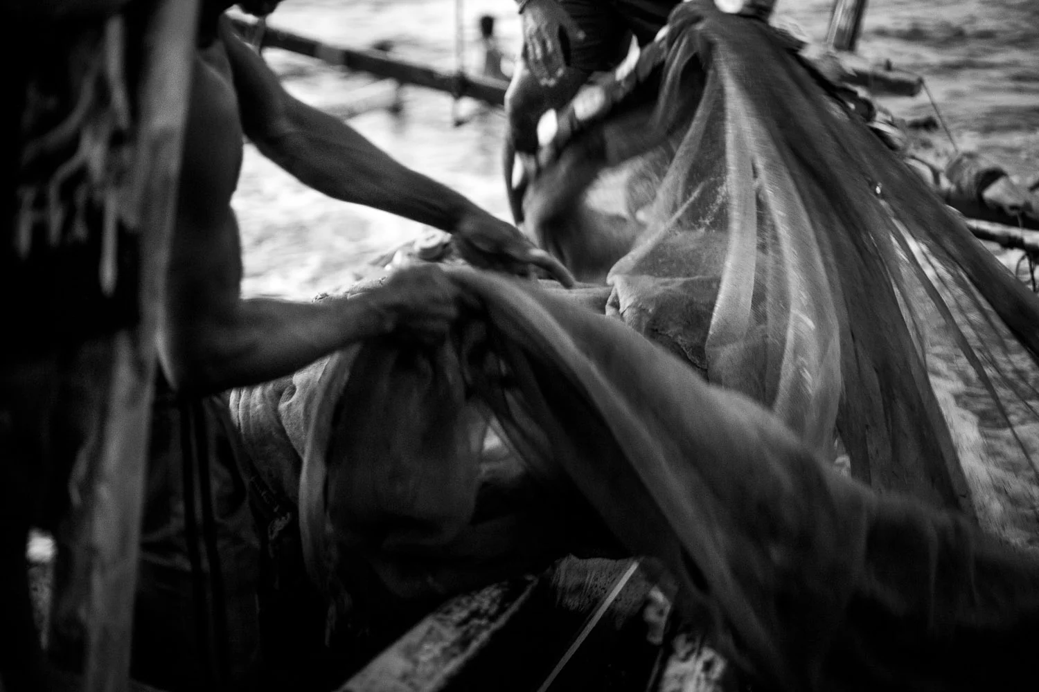 hauling in the day's catch