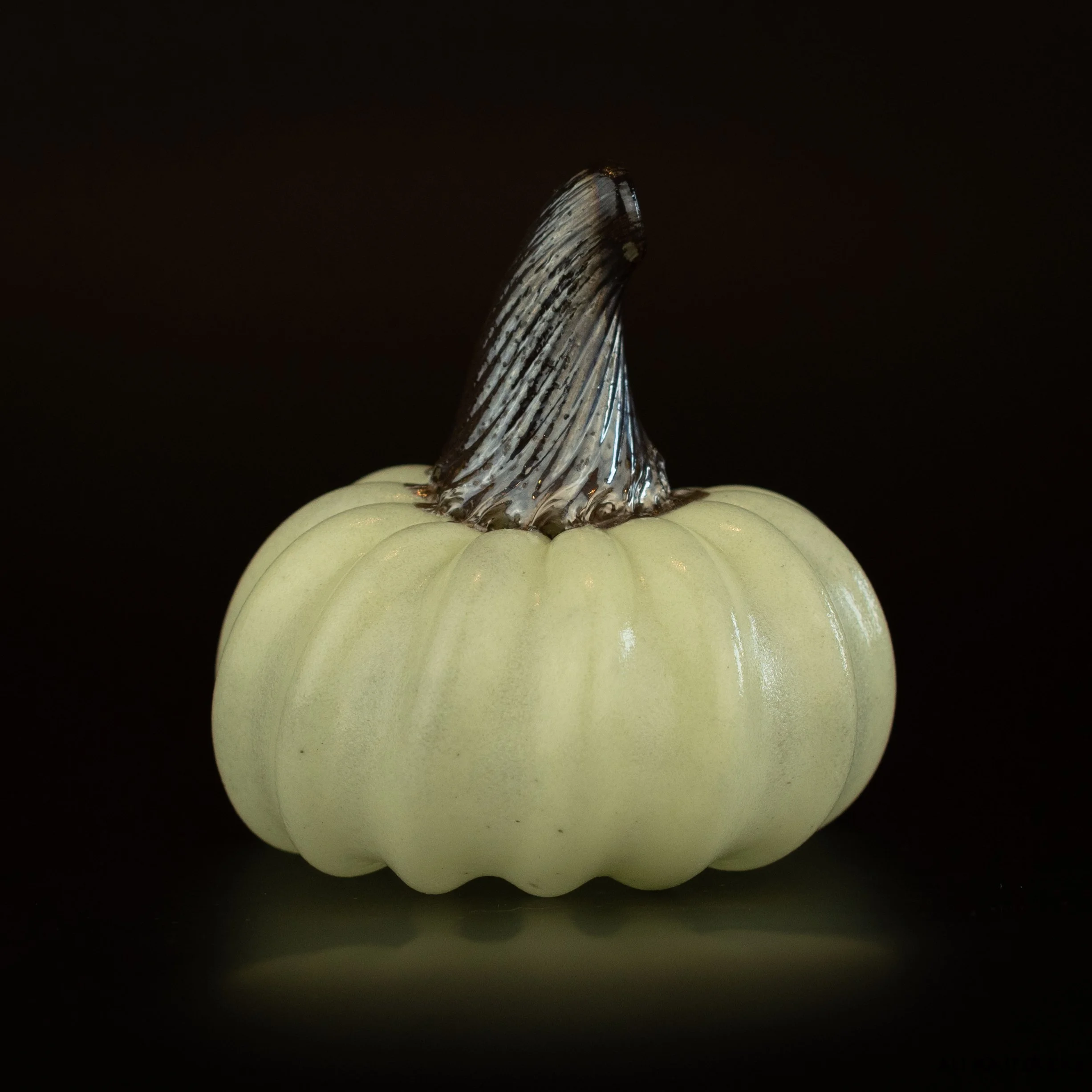 Pumpkin-66.jpg