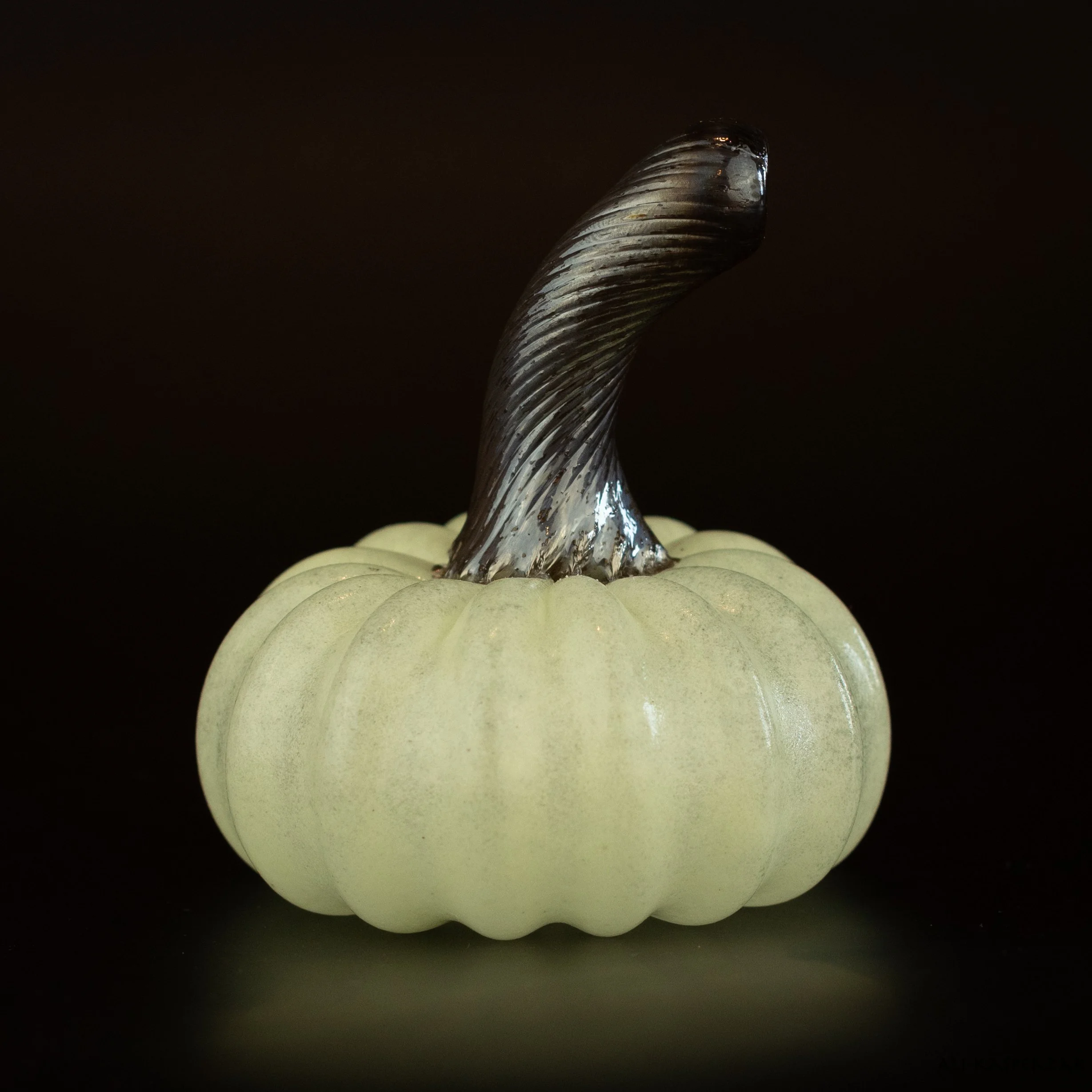 Pumpkin-46.jpg