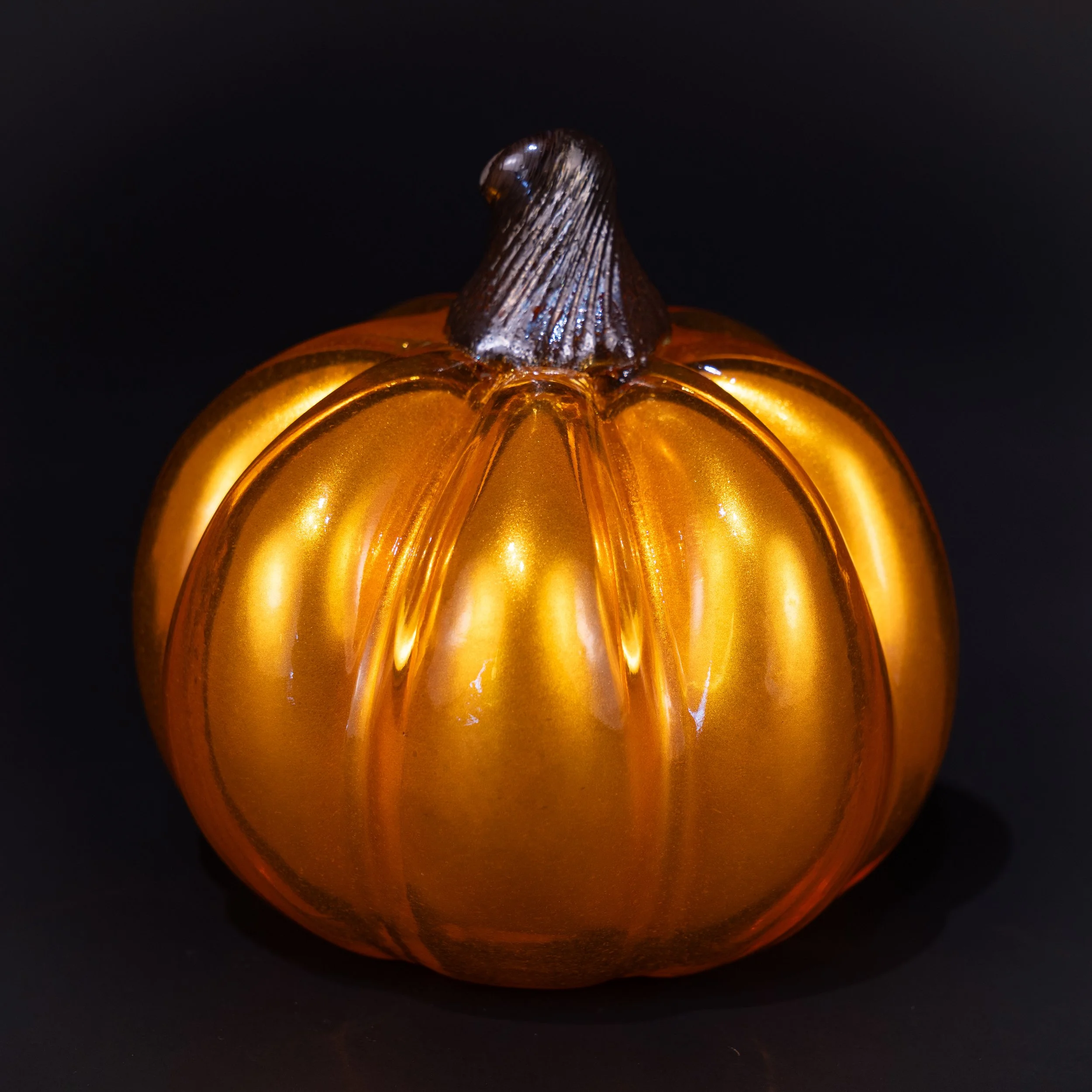 DSC07721.jpg