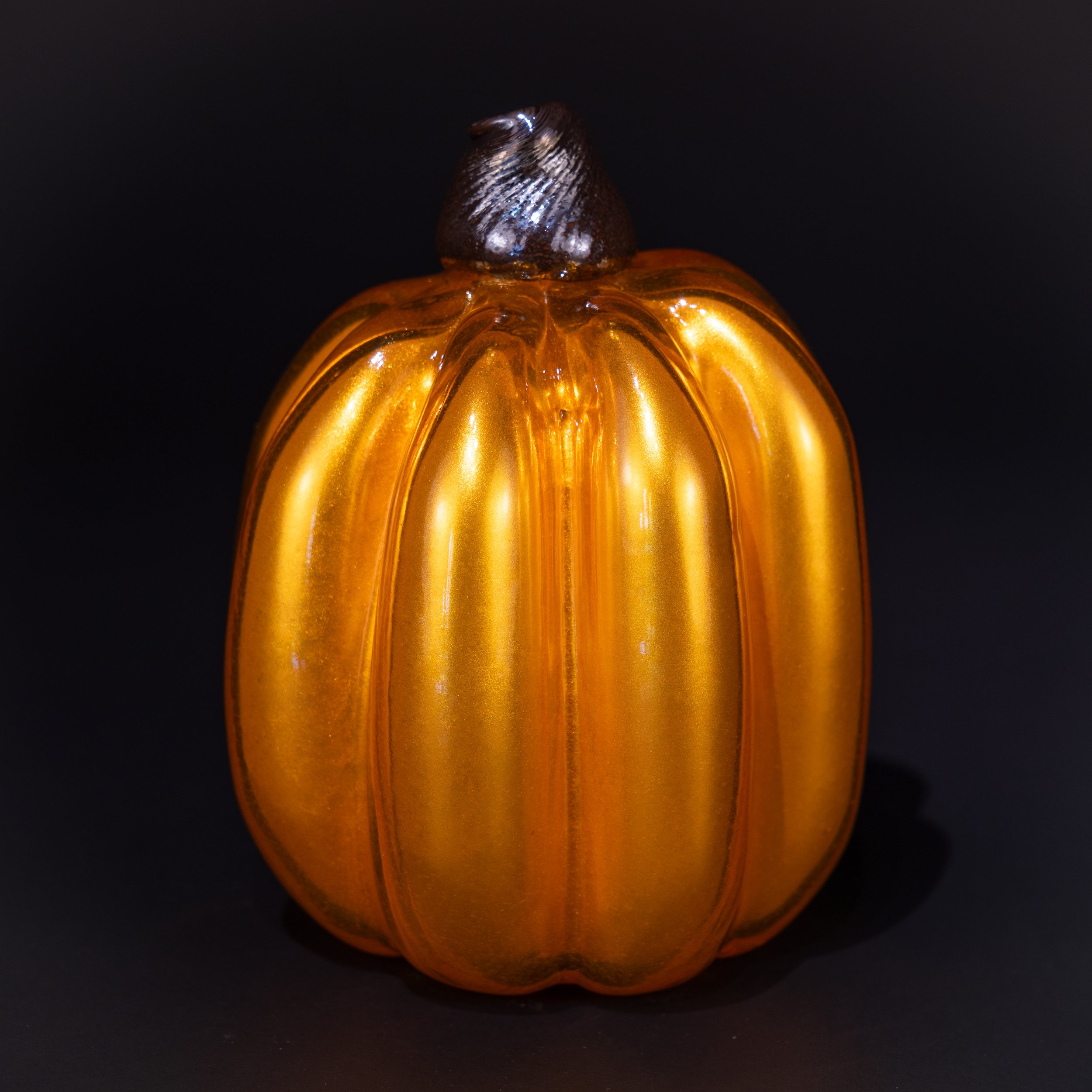 DSC07724.jpg