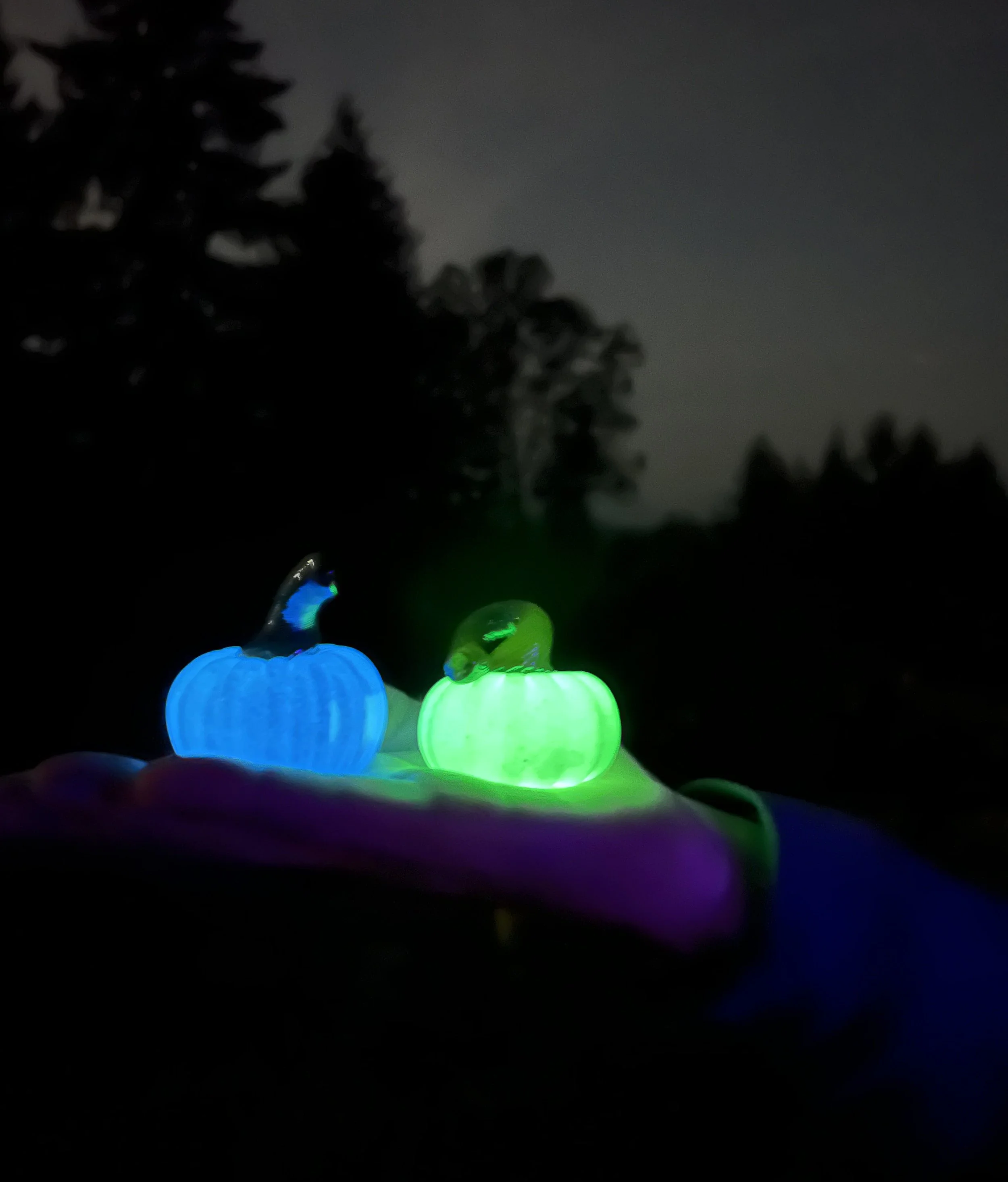 glow in the dark.jpg
