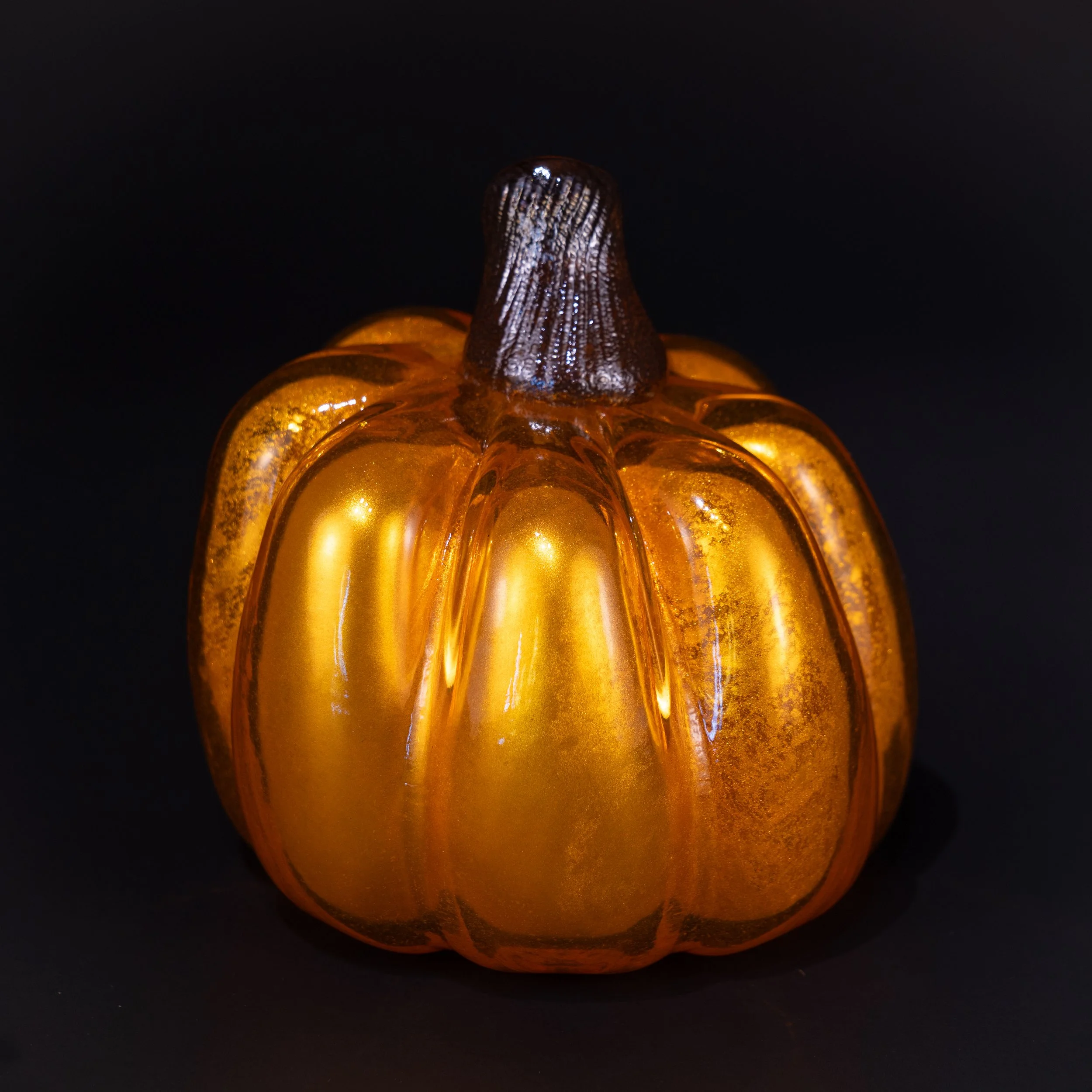 DSC07702.jpg