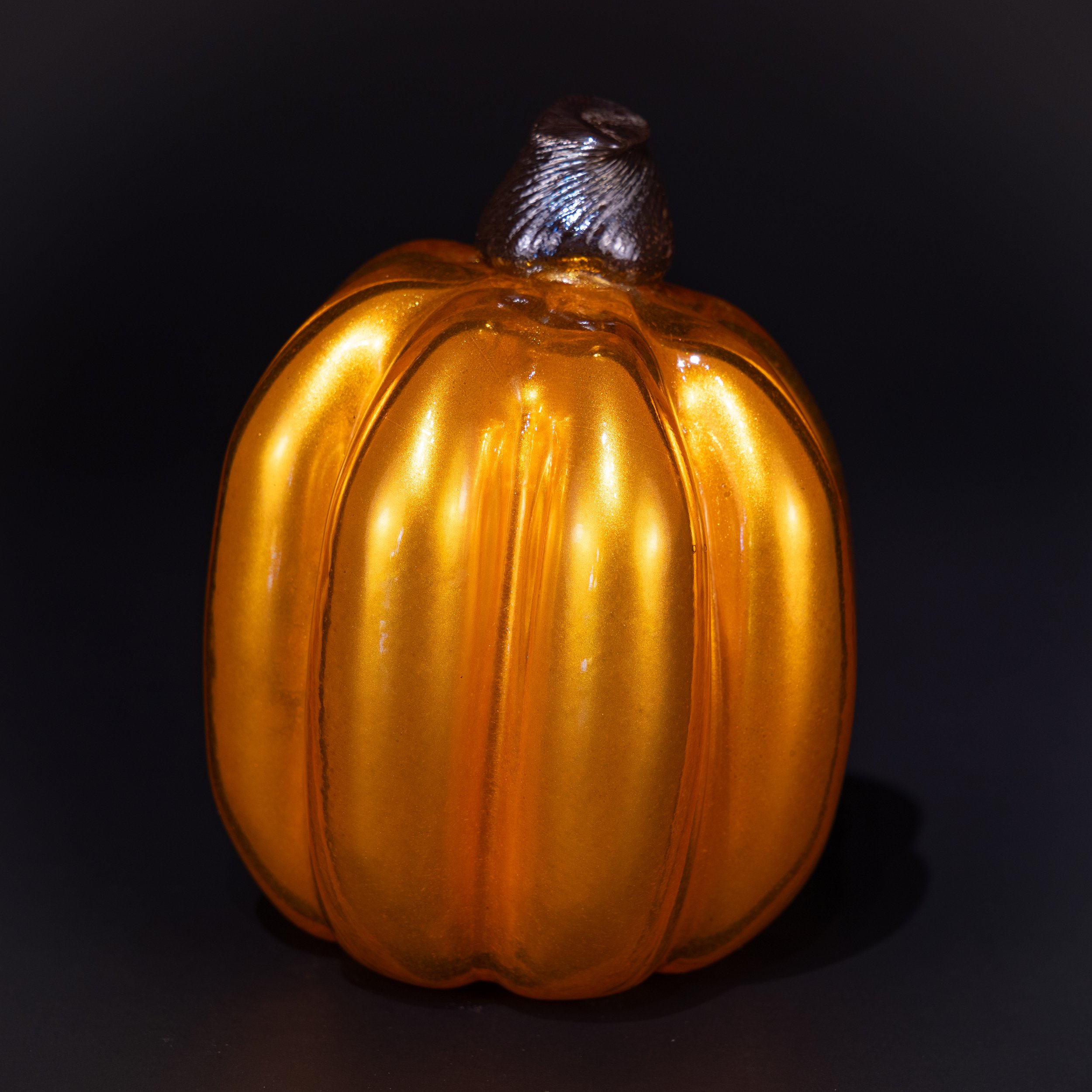 DSC07728.jpg