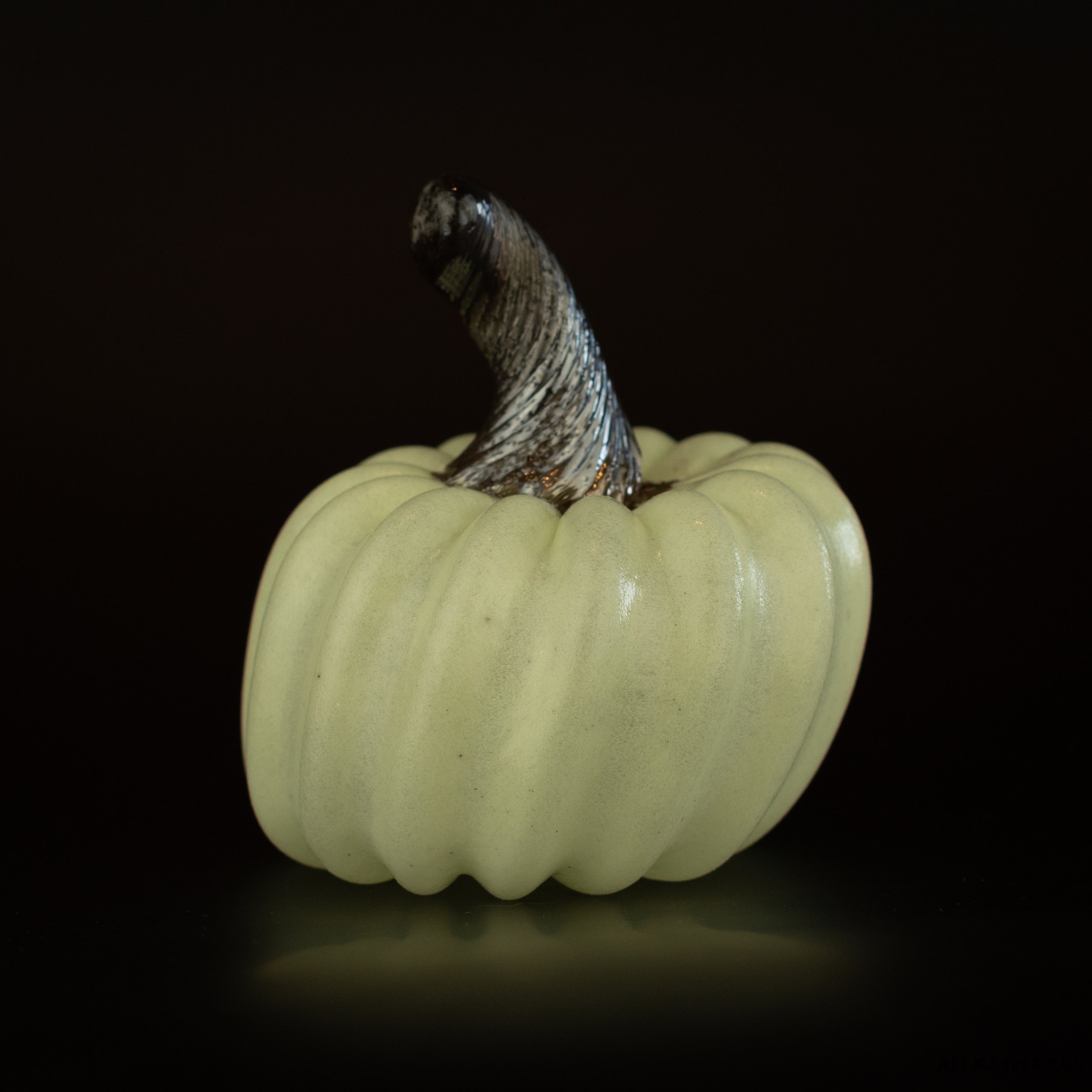 Pumpkin-57.jpg