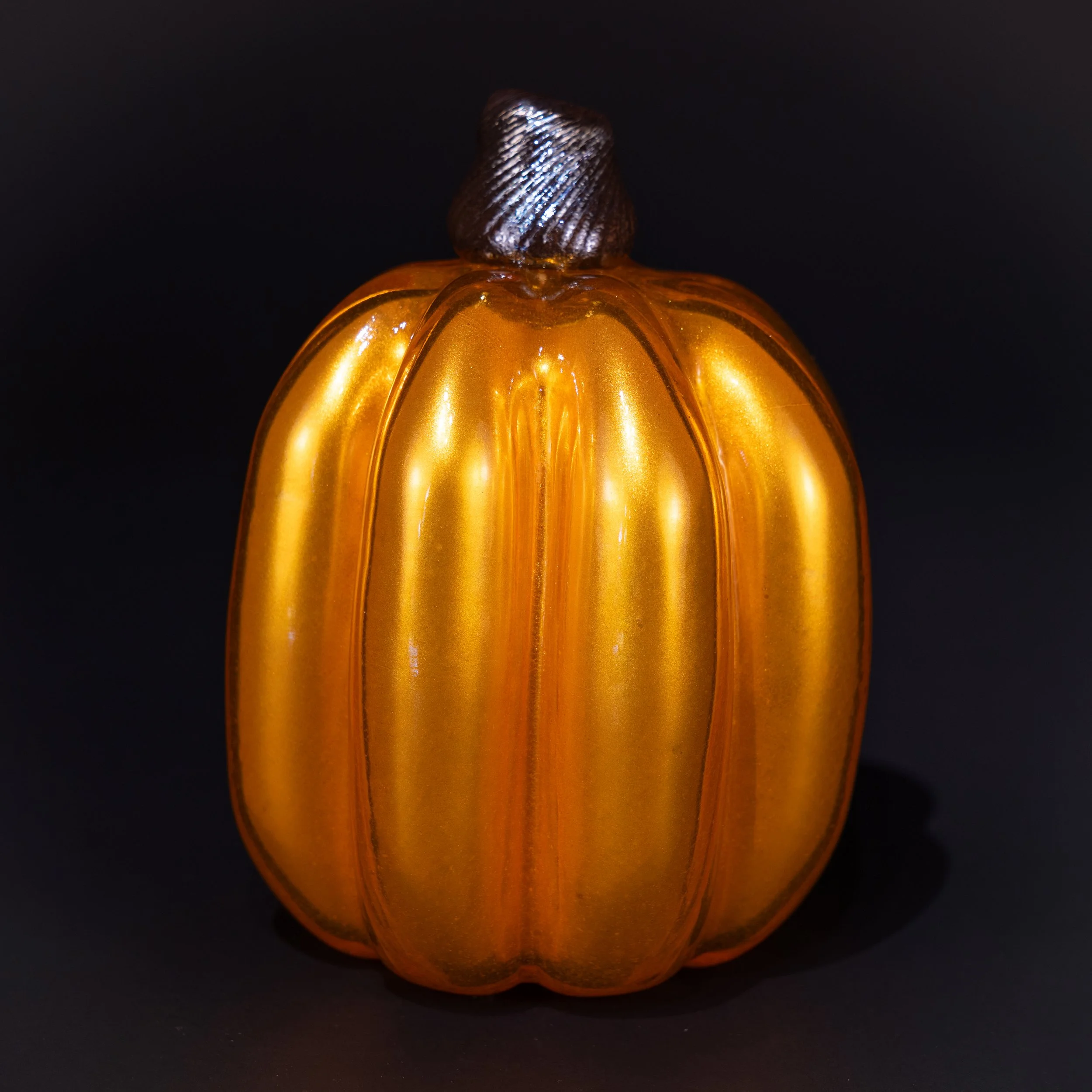 DSC07727.jpg