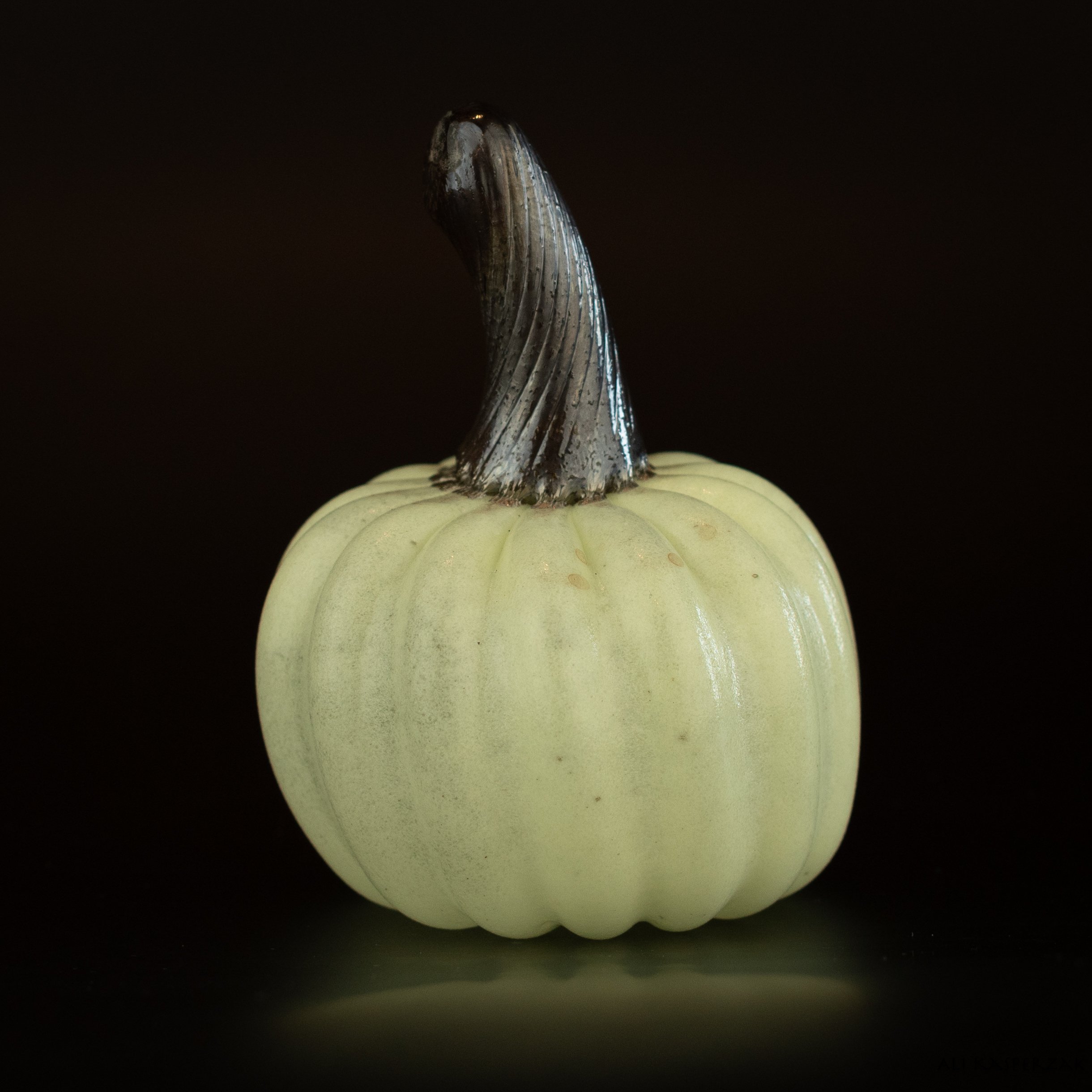 Pumpkin-41.jpg