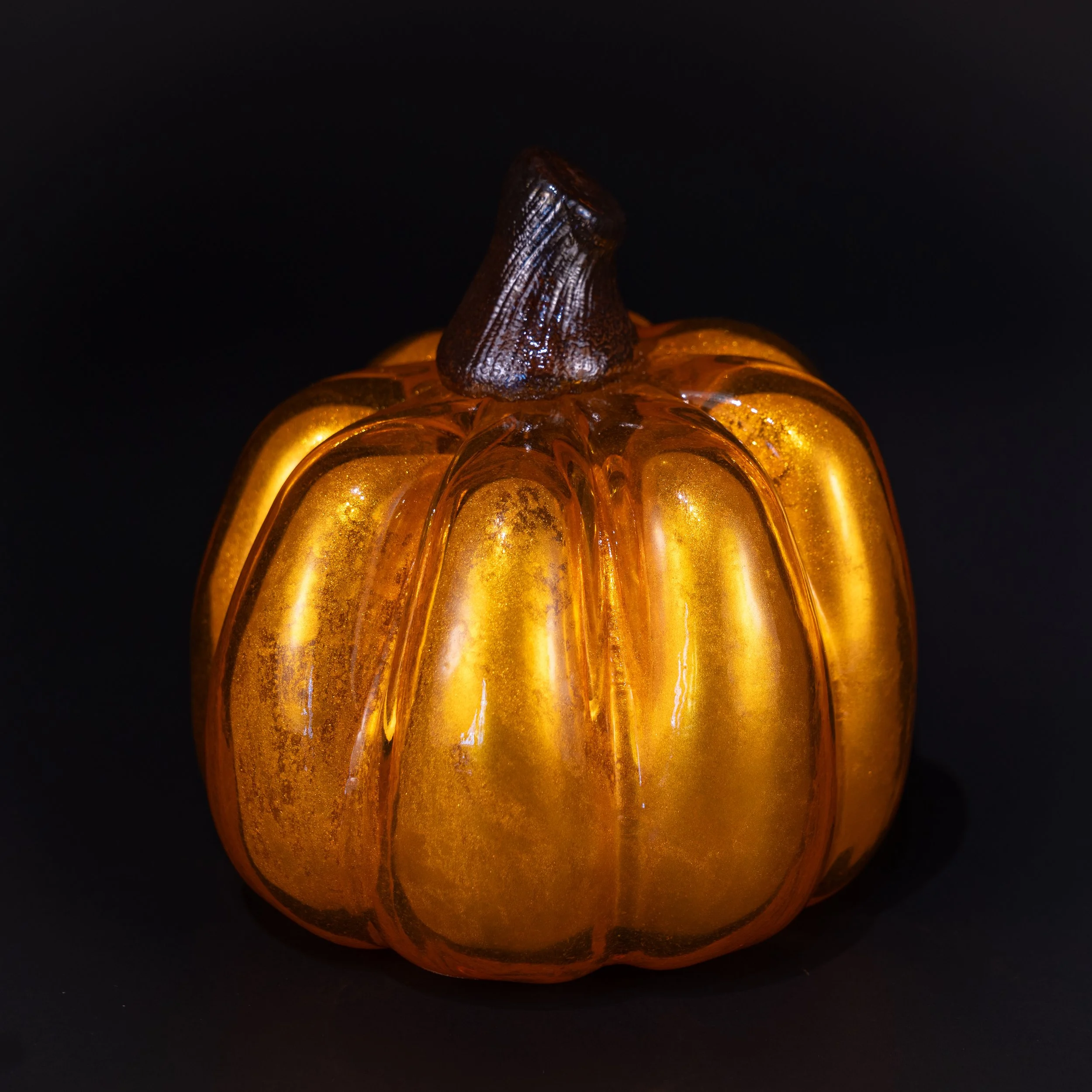 DSC07703.jpg