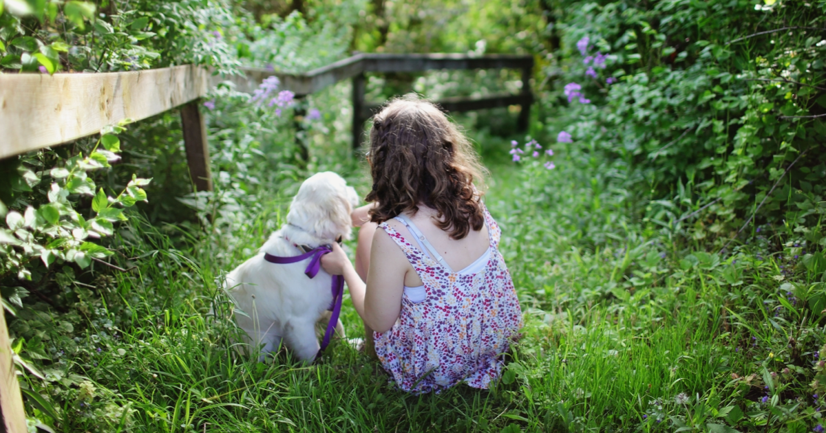 The Garden of Your Heart