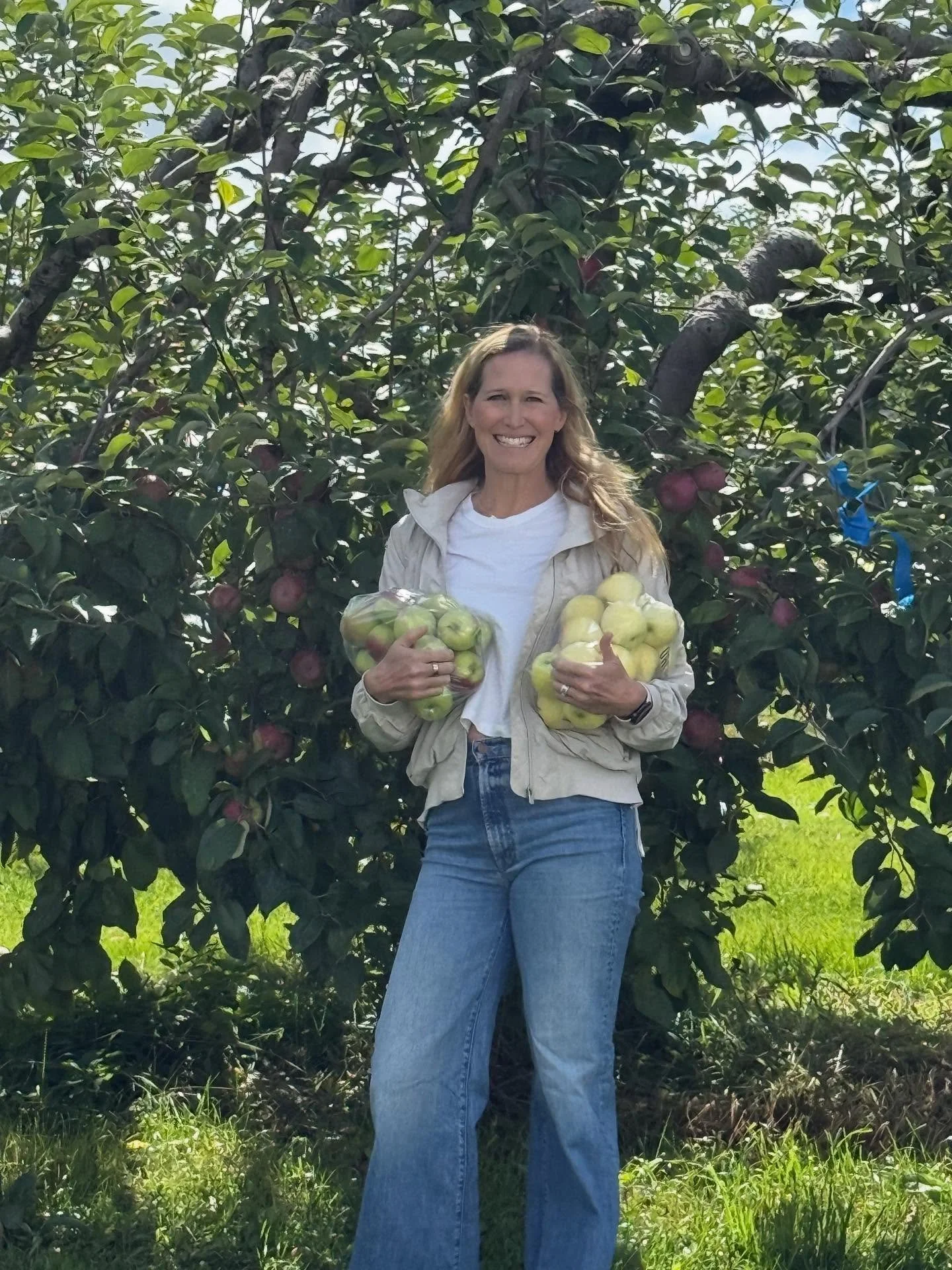 Hello 🍎 Fall