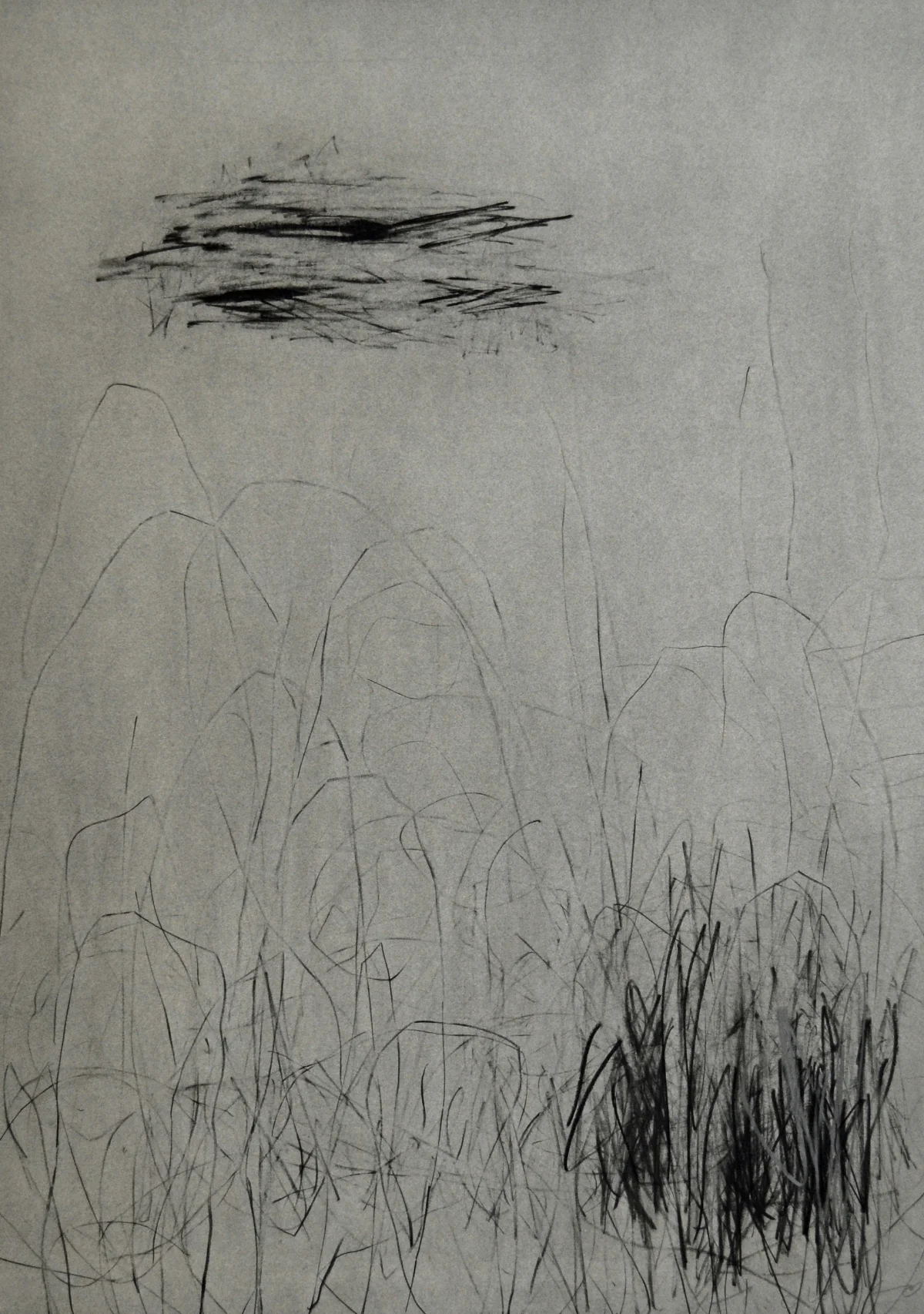 天に在り地に在り | In the Sky, on the Ground , 2015