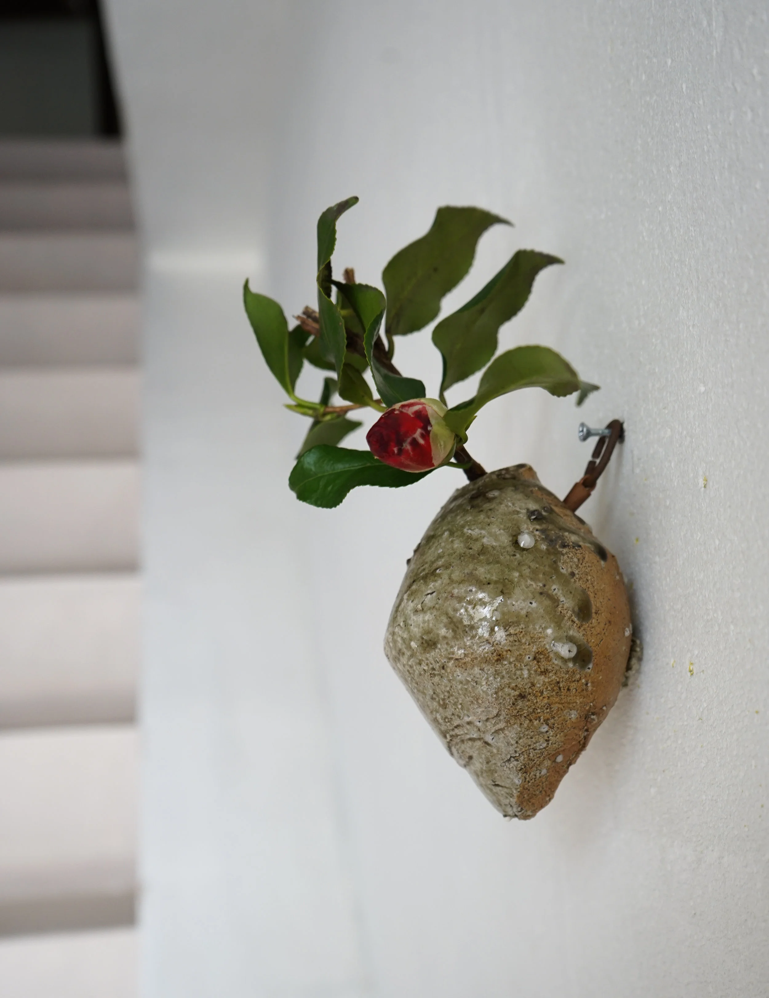 DSC05540-2.jpg