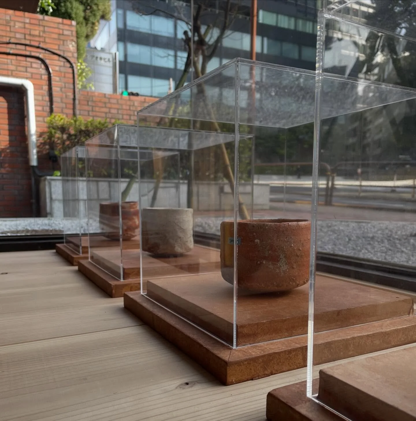 #shirotsujimura #辻村史朗