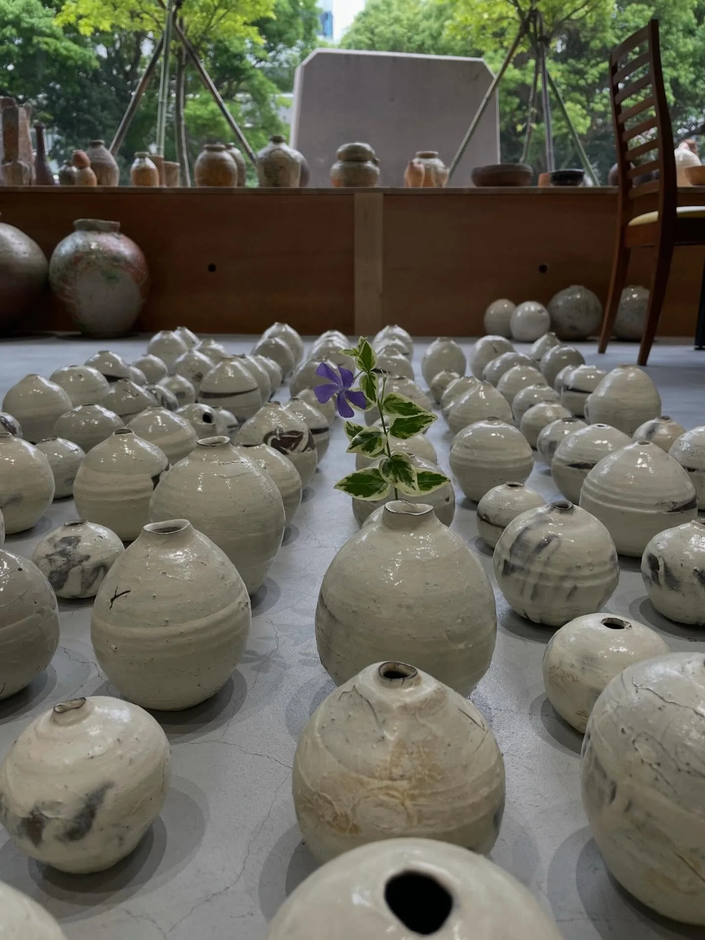 Last day #shirotsujimura #辻村史朗