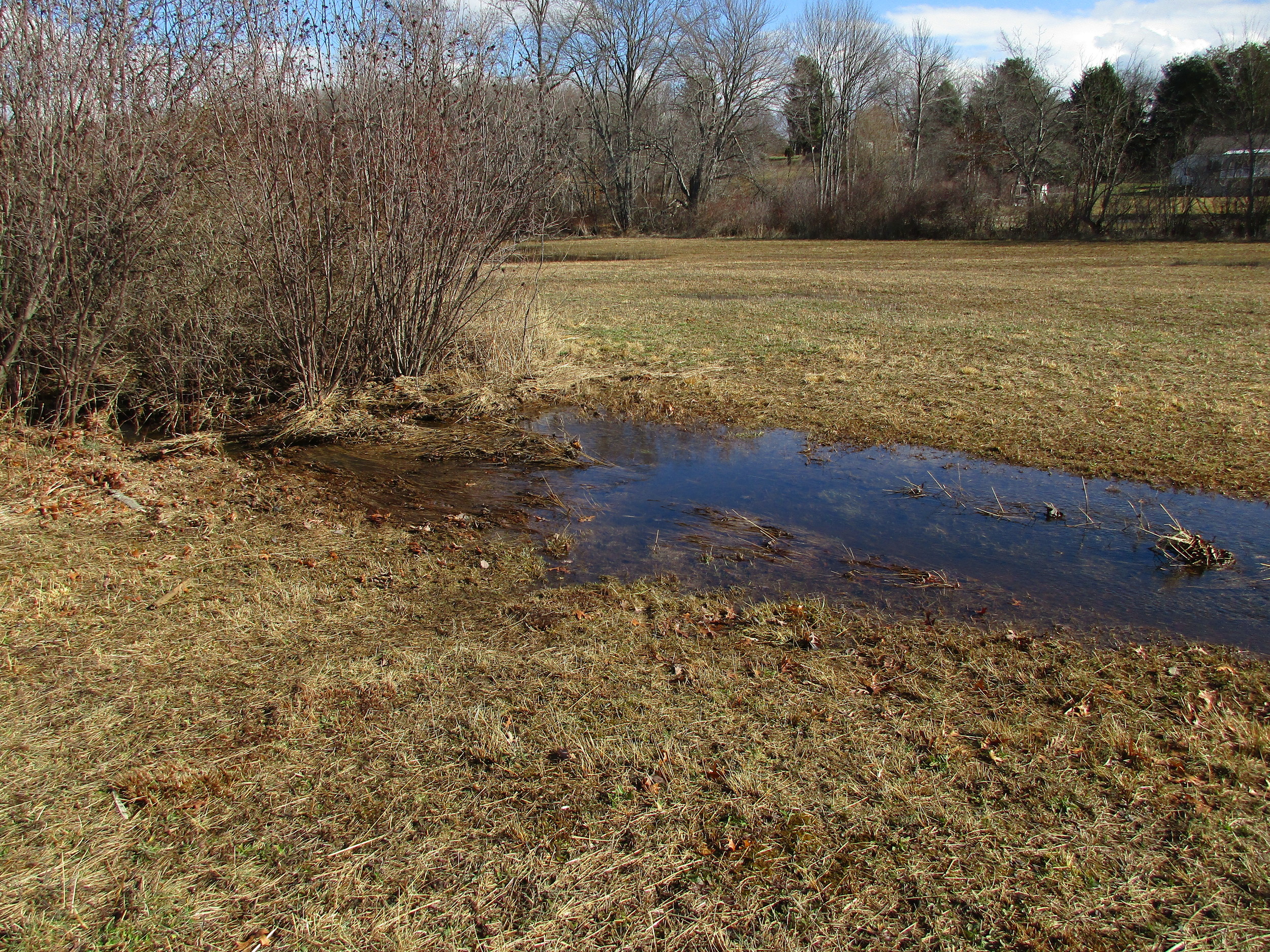 Feb 25th Day after storm. I had to wade through a swollen stream to get to the hives!