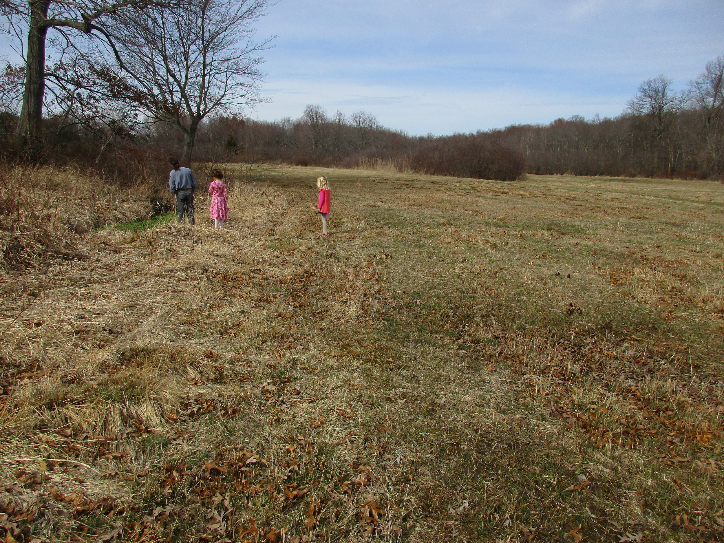 Sunday March 13th There are quite a few skunk cabbage flowers in this field, especially along the right. Can you spot them? Somehow, the bees are able to find them with no problem! (Family checking out the spring)