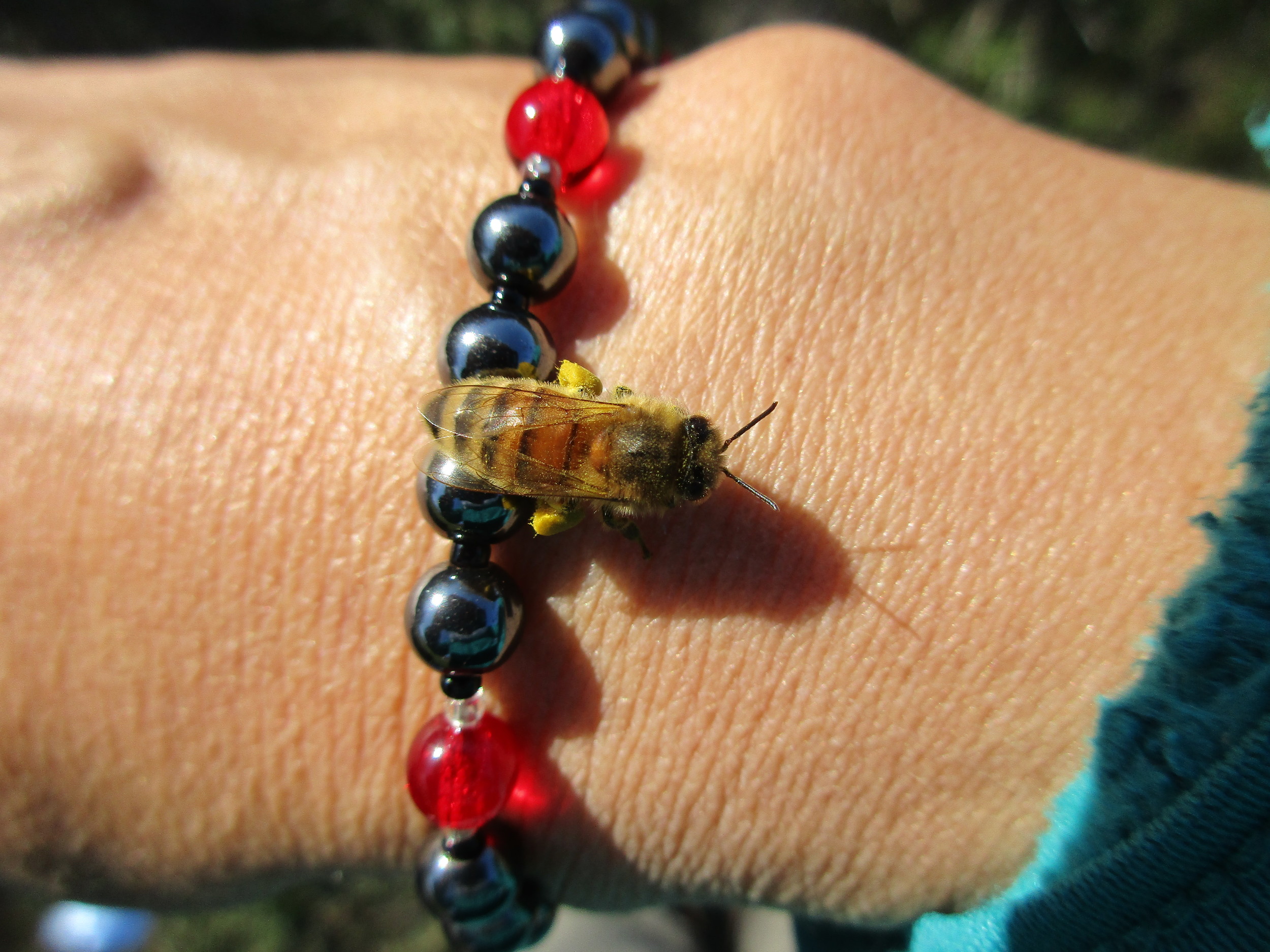 I took off my awkward gloves to handle the camera, and a curious bee landed on my wrist.
