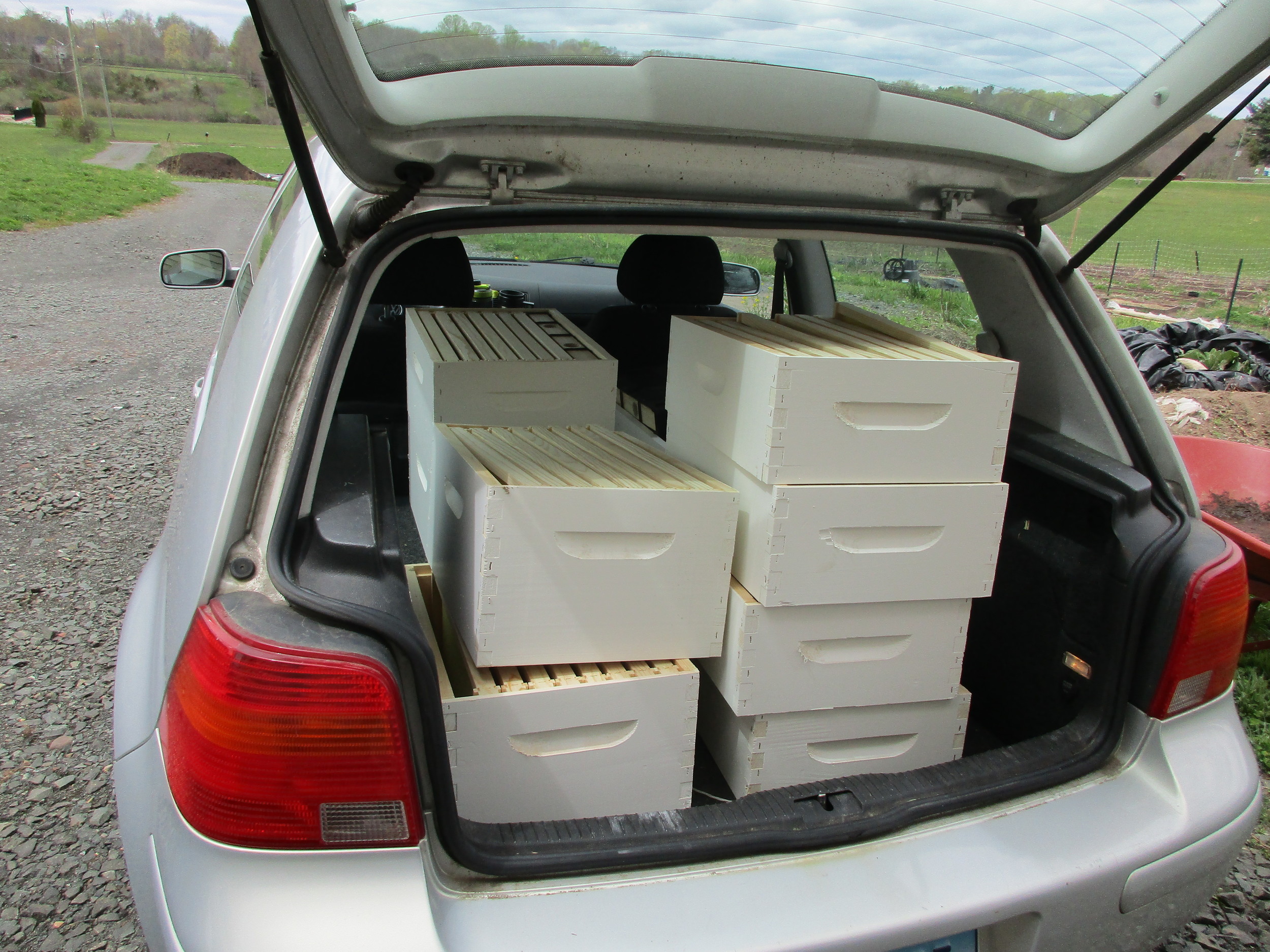 Back home again with my car packed full of hive boxes. The deeper ones are for the main part of the hive, the shallow ones are "honey suppers".