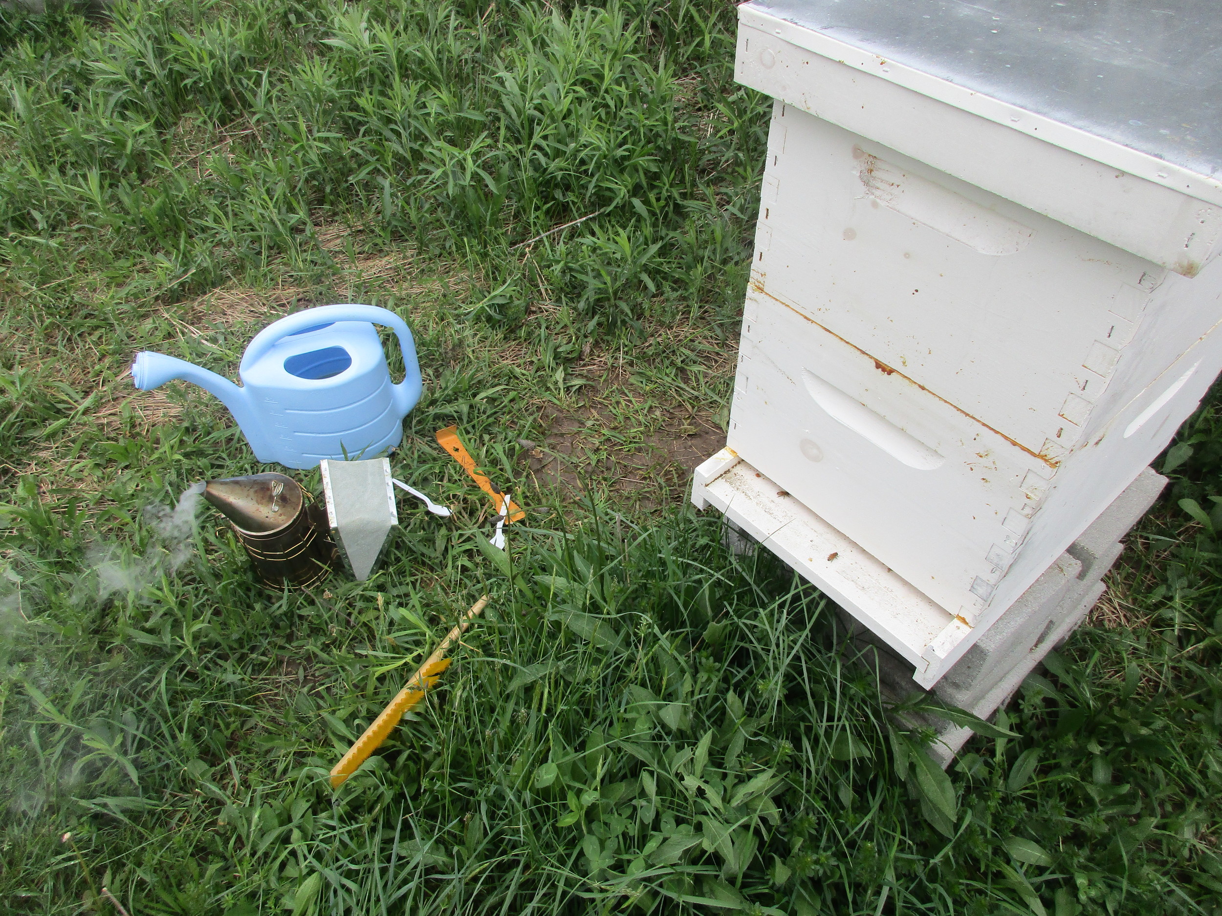 T hursday May 5th . Hive 2, just topped up with sugar syrup on a break in the rain. It was a cold day, and the bees were not out.