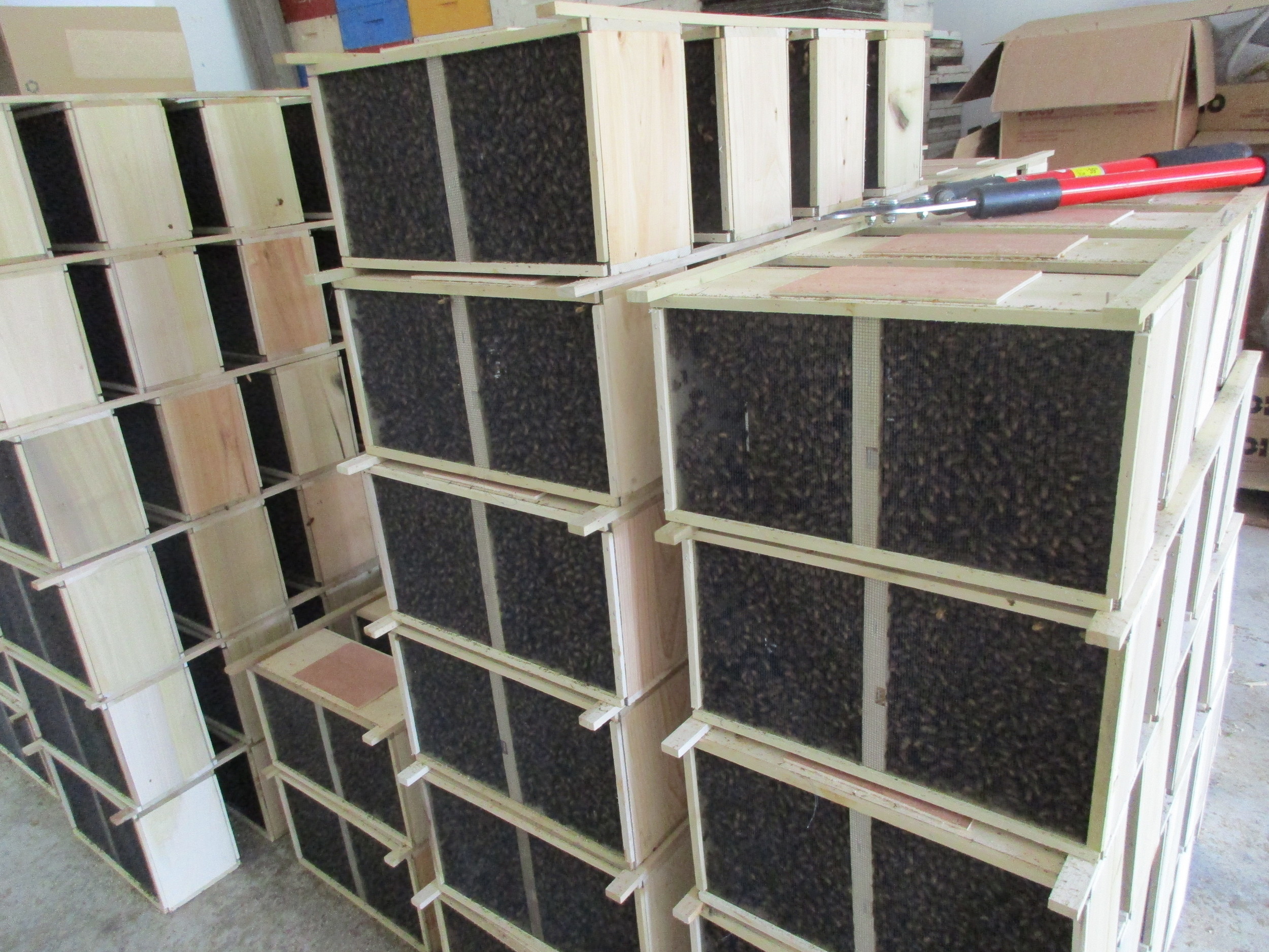 Each box (package) full of bees and one queen.