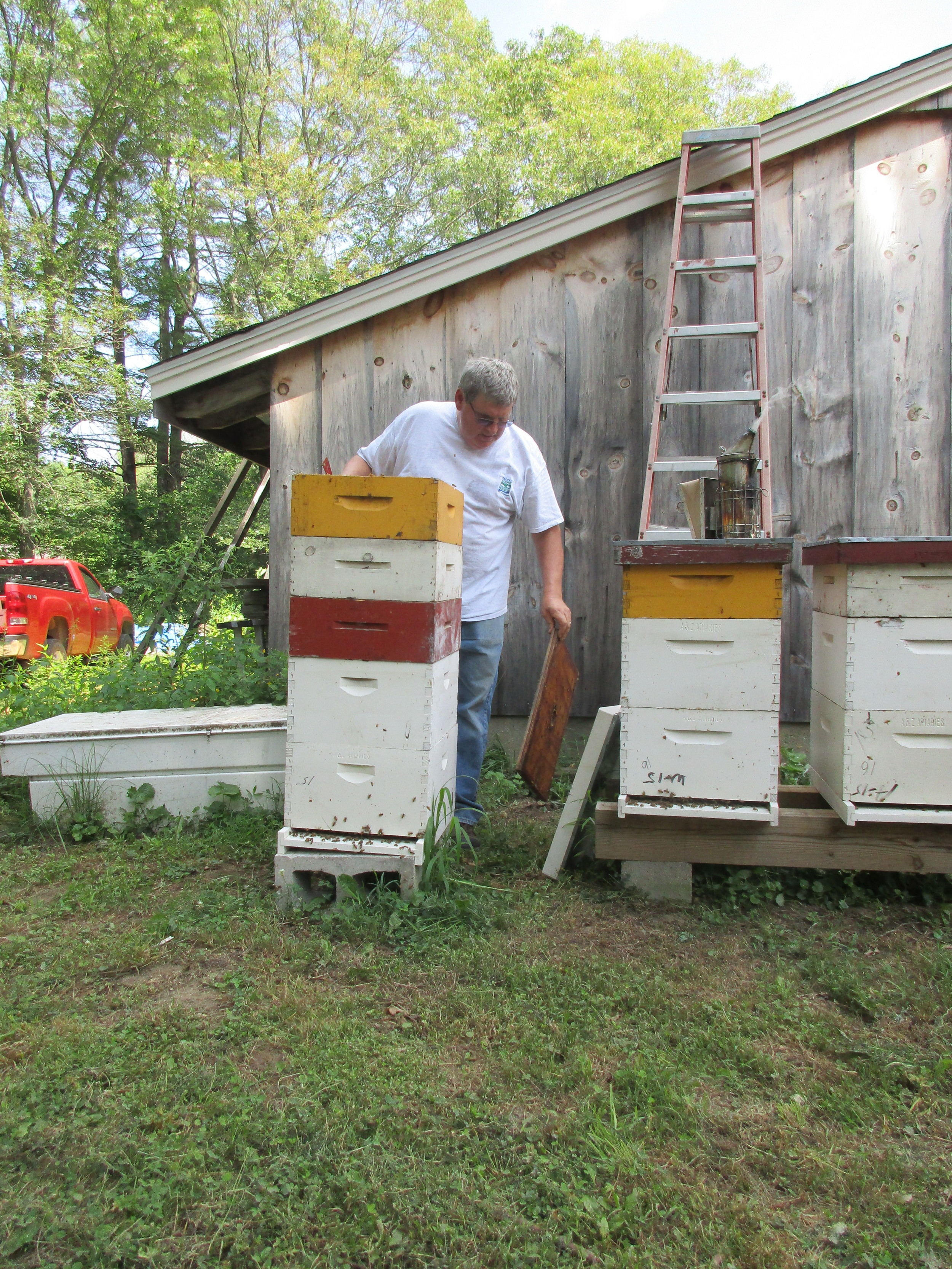 Honey extracting demo. Adam just popped off the inner lid.