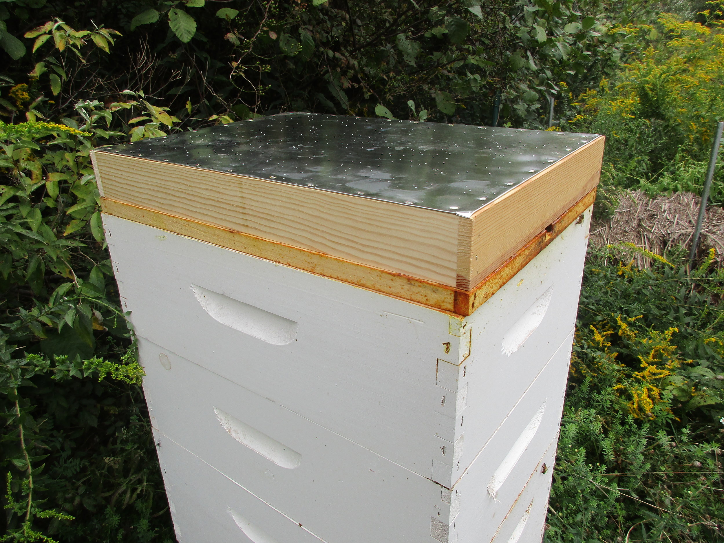 Fume board placed on top of the supers. The point is to drive the bees out of the supers, down into the lower hive boxes because they don't like the smell. I did actually take the inner lid off too (not shown here - it is still on).