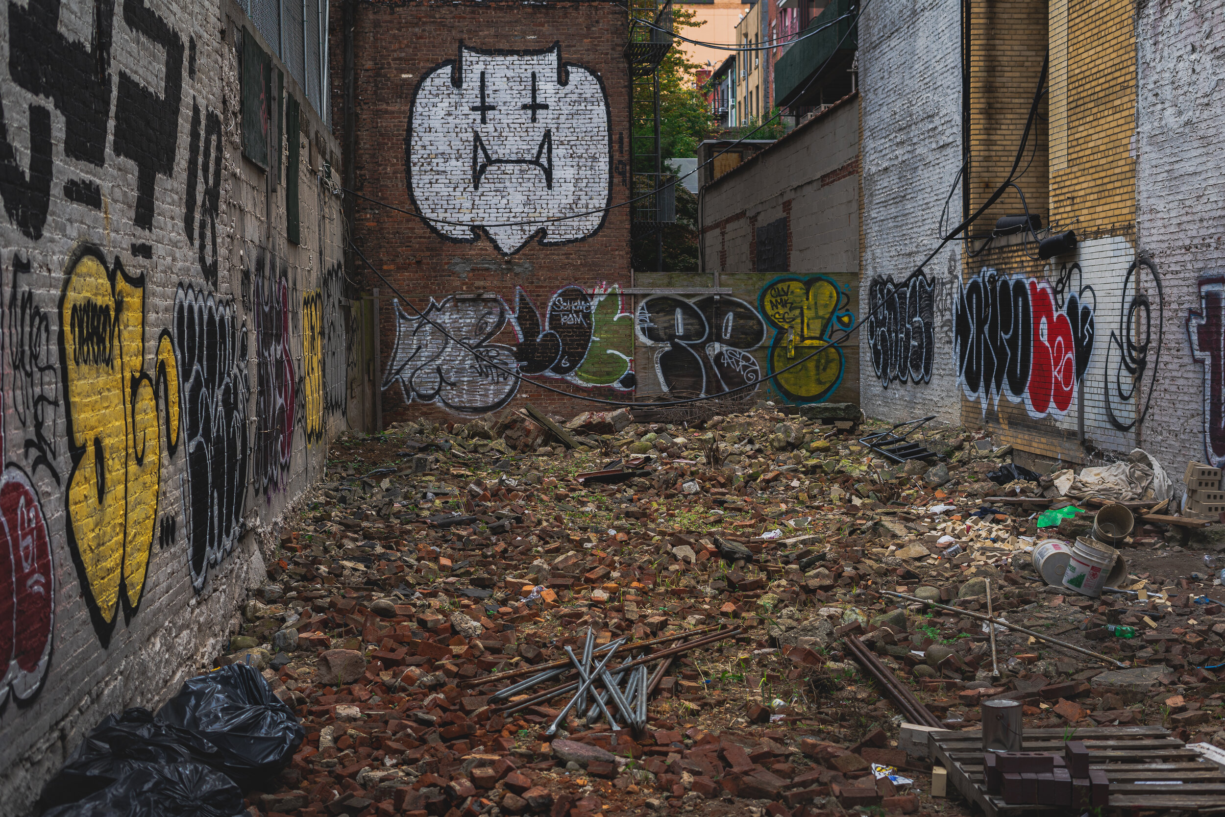 DMT09670.jpg
