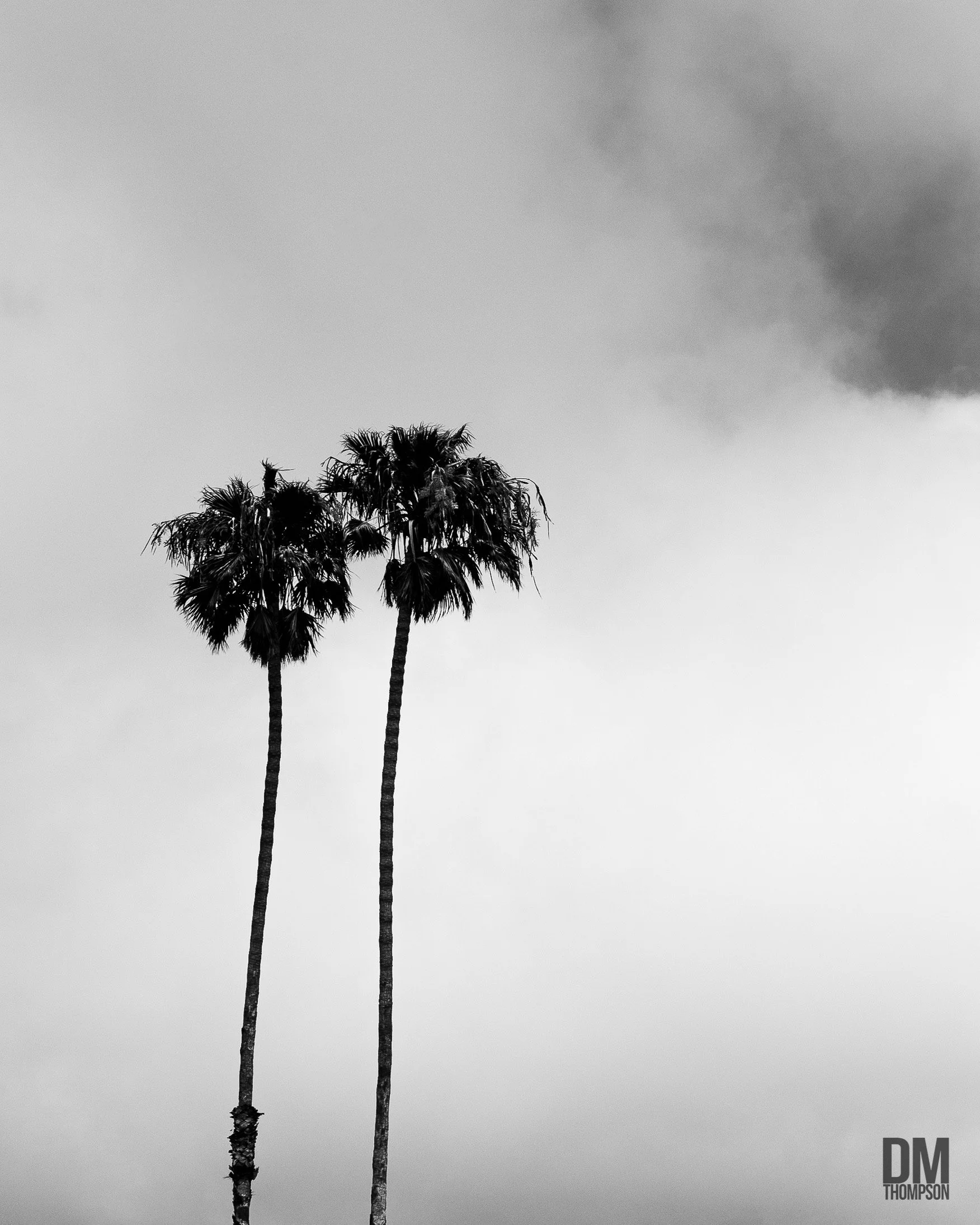 LAdiaries-Malibu-TwinPalms.jpg
