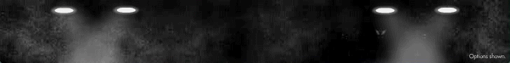 acsprius728.gif