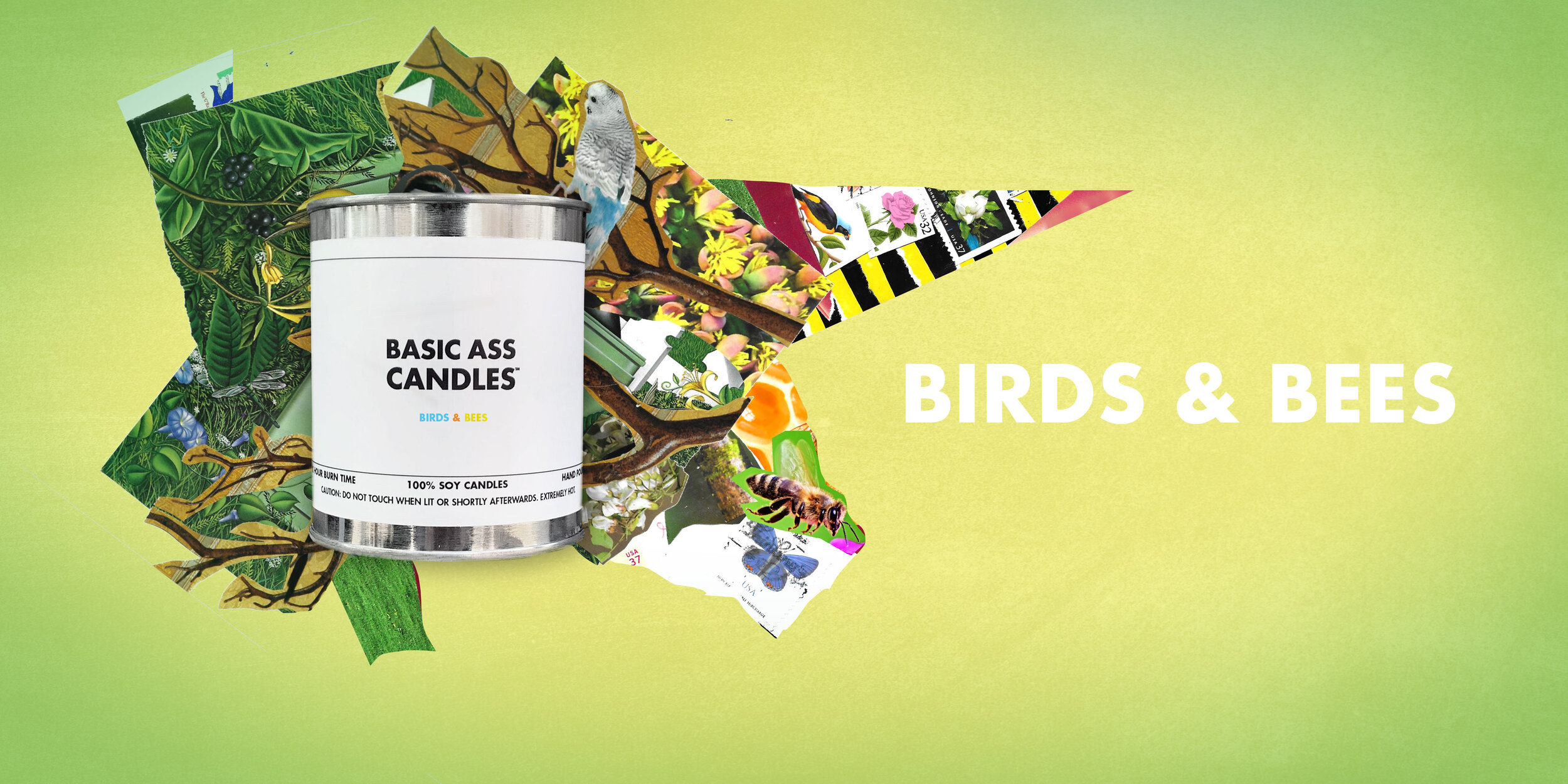 BIRDS AND BEES HORIZONTAL .jpg