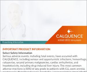 300x250 bannerify Assets.gif