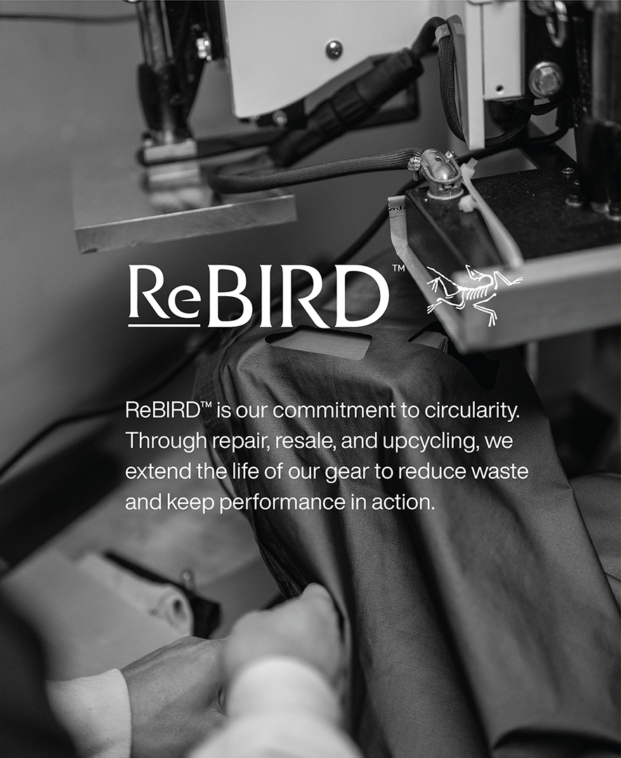 ARC_03_ReBIRD_03_Secondary_1_v02.png